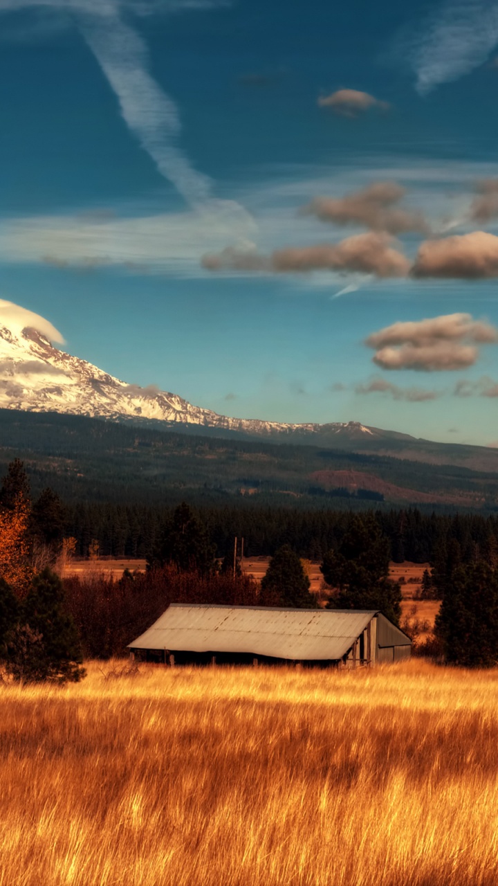 Casa Blanca y Marrón en el Campo de Hierba Marrón Bajo un Cielo Azul y Nubes Blancas Durante el Día. Wallpaper in 720x1280 Resolution