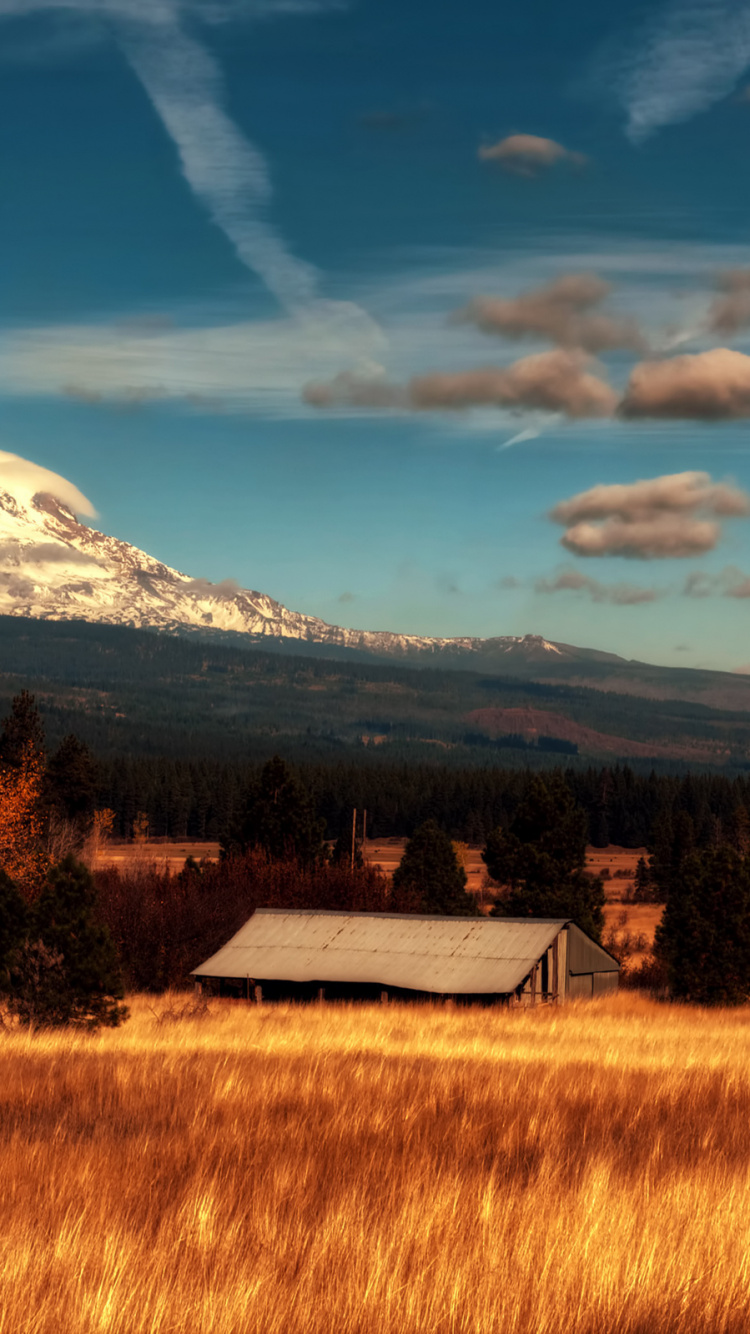 Casa Blanca y Marrón en el Campo de Hierba Marrón Bajo un Cielo Azul y Nubes Blancas Durante el Día. Wallpaper in 750x1334 Resolution