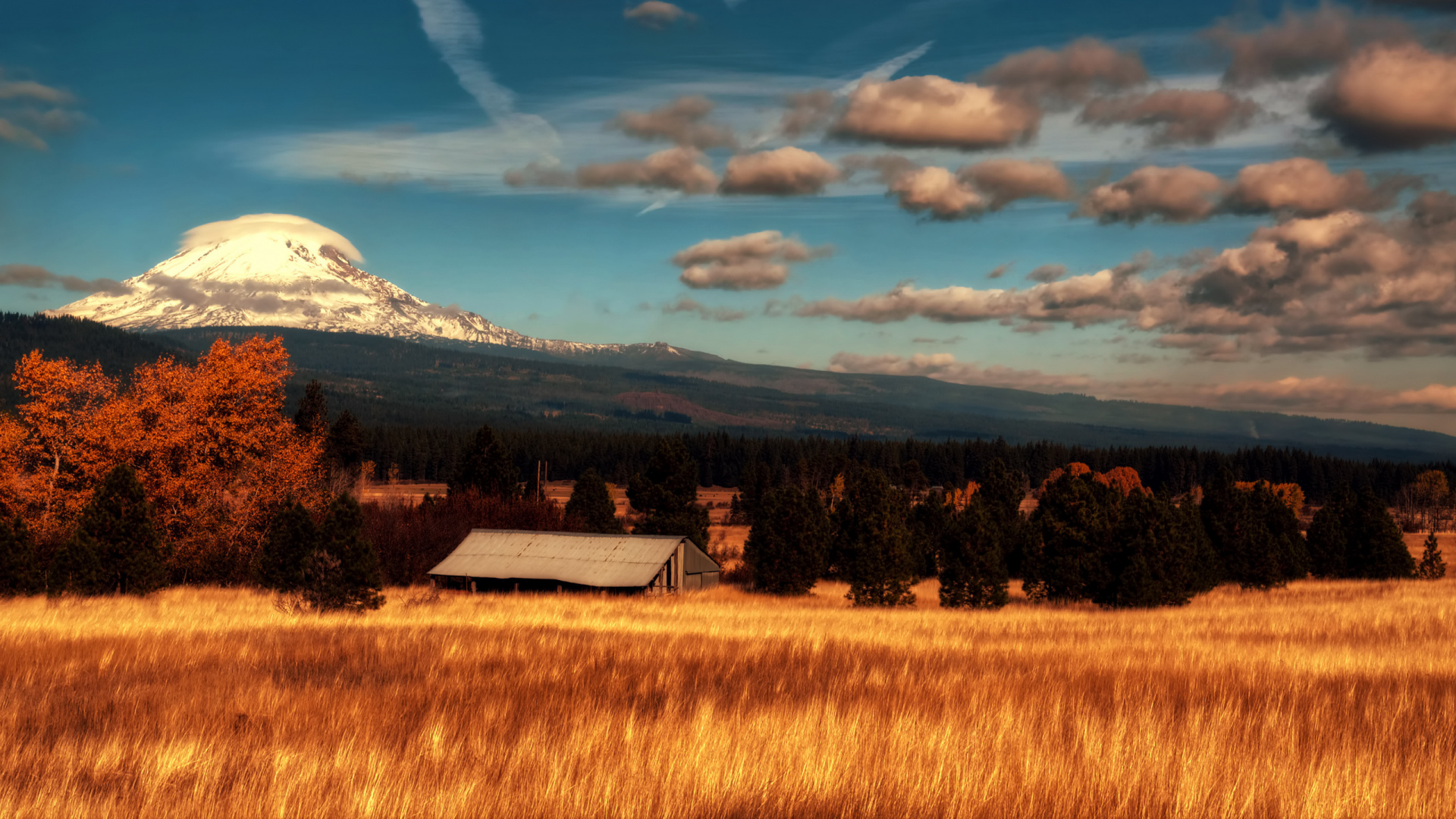 White and Brown House on Brown Grass Field Under Blue Sky and White Clouds During Daytime. Wallpaper in 1920x1080 Resolution