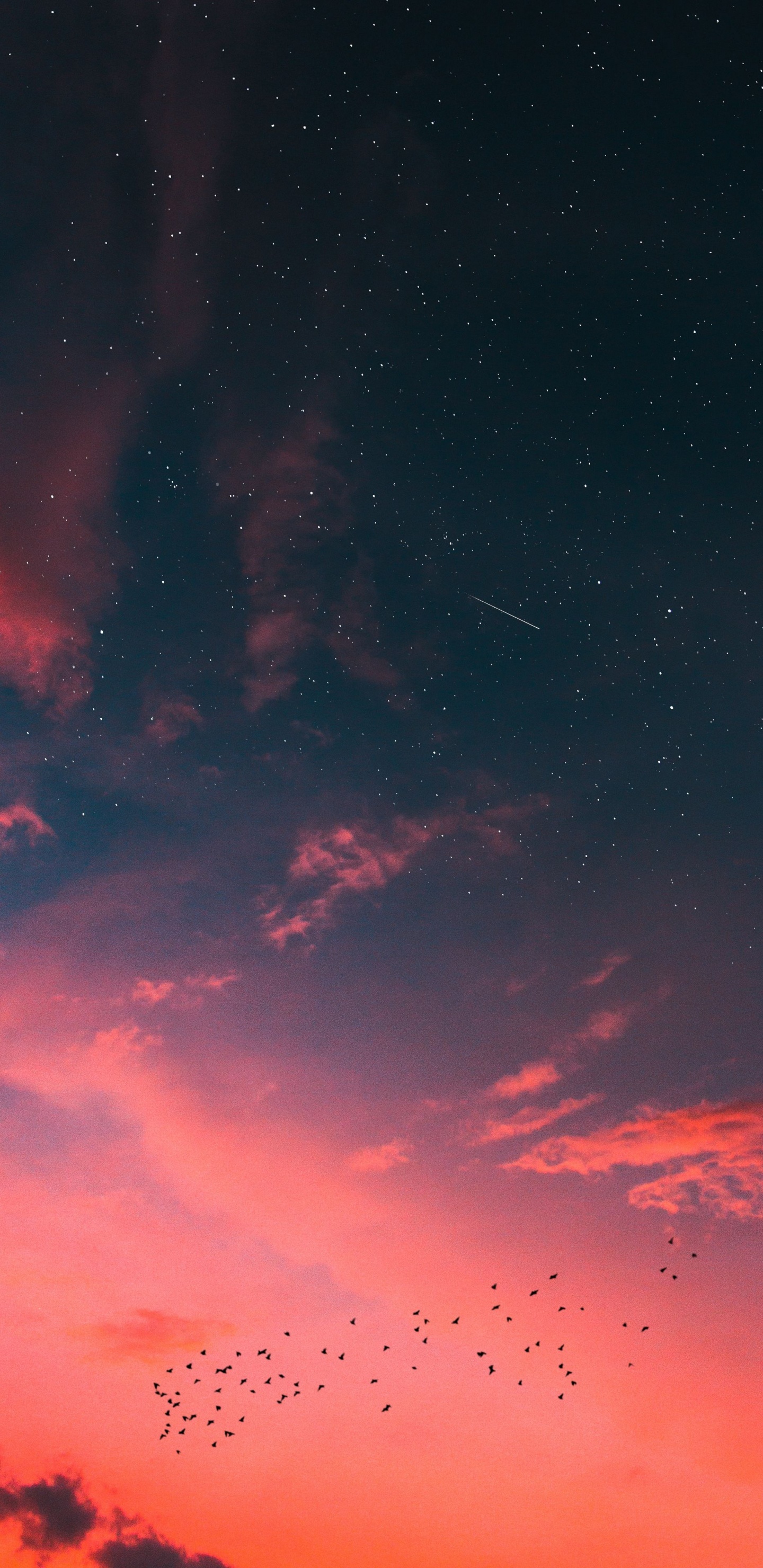 Coucher de Soleil Nike, Nature, Atmosphère, Paysage Naturel, Afterglow. Wallpaper in 1440x2960 Resolution