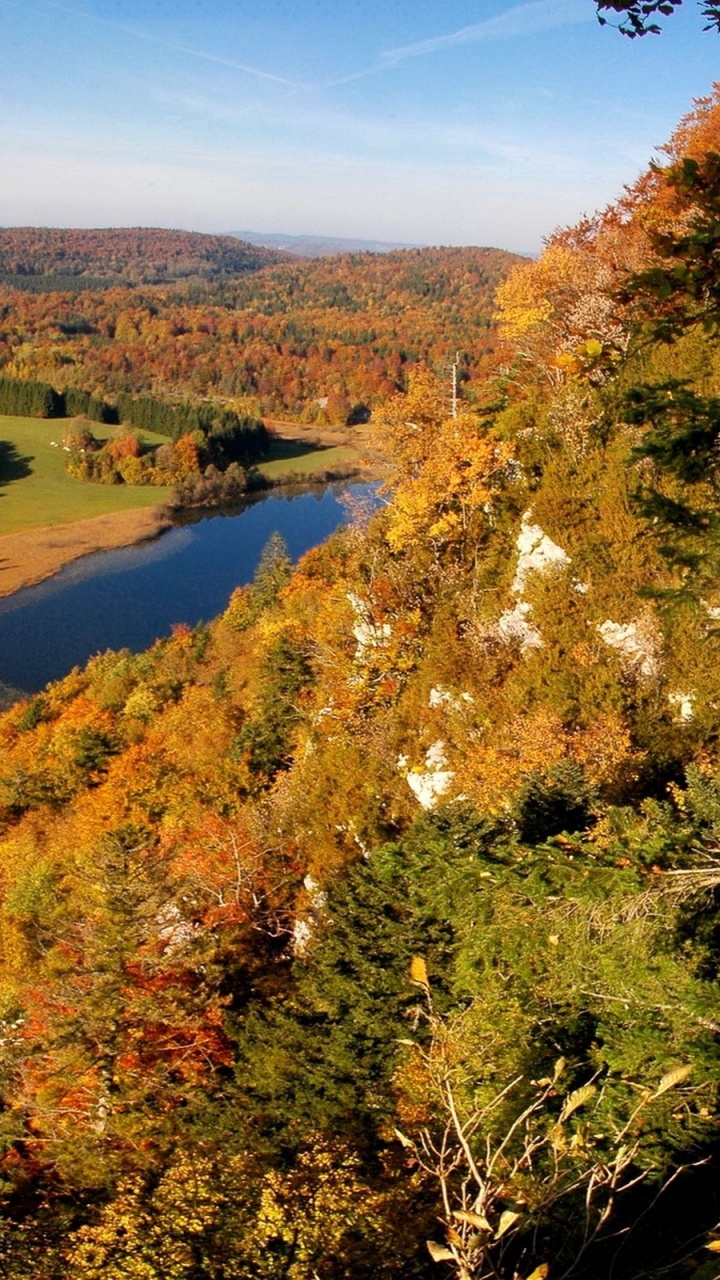 Green and Brown Trees Near River During Daytime. Wallpaper in 720x1280 Resolution