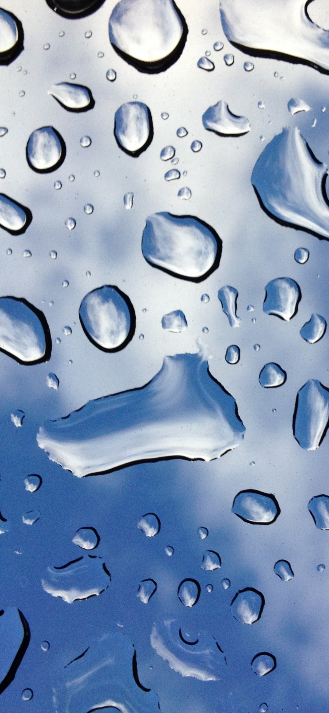 Water Droplets on Clear Glass. Wallpaper in 1125x2436 Resolution