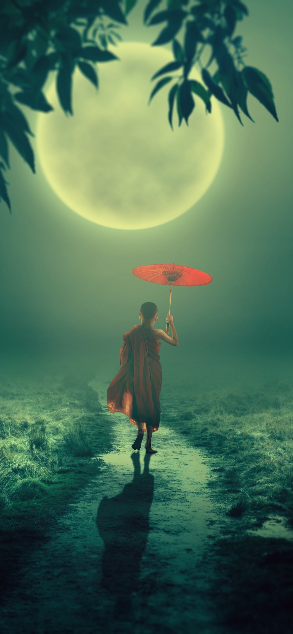 Monk, Nature, Green, Light, Atmosphere. Wallpaper in 1125x2436 Resolution