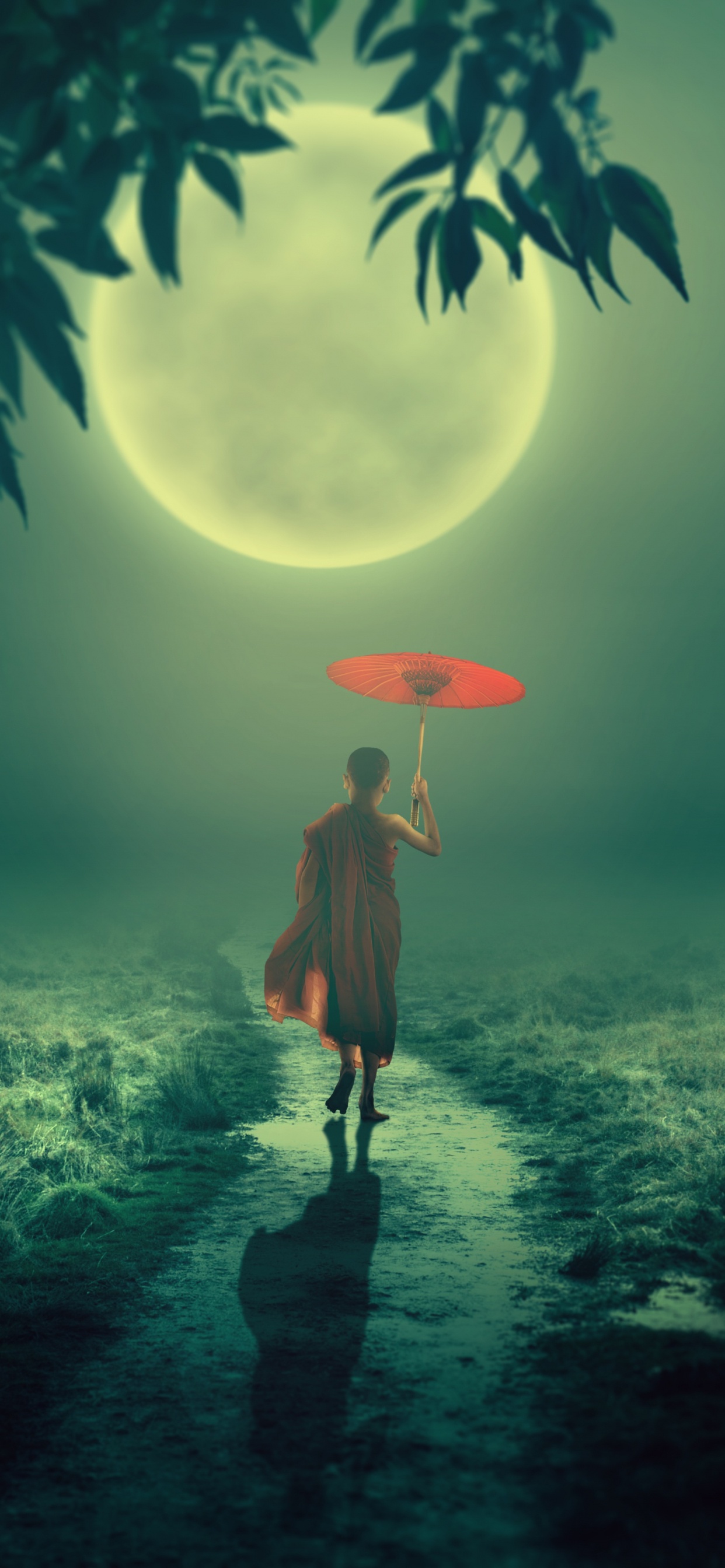 Monk, Nature, Green, Light, Atmosphere. Wallpaper in 1242x2688 Resolution