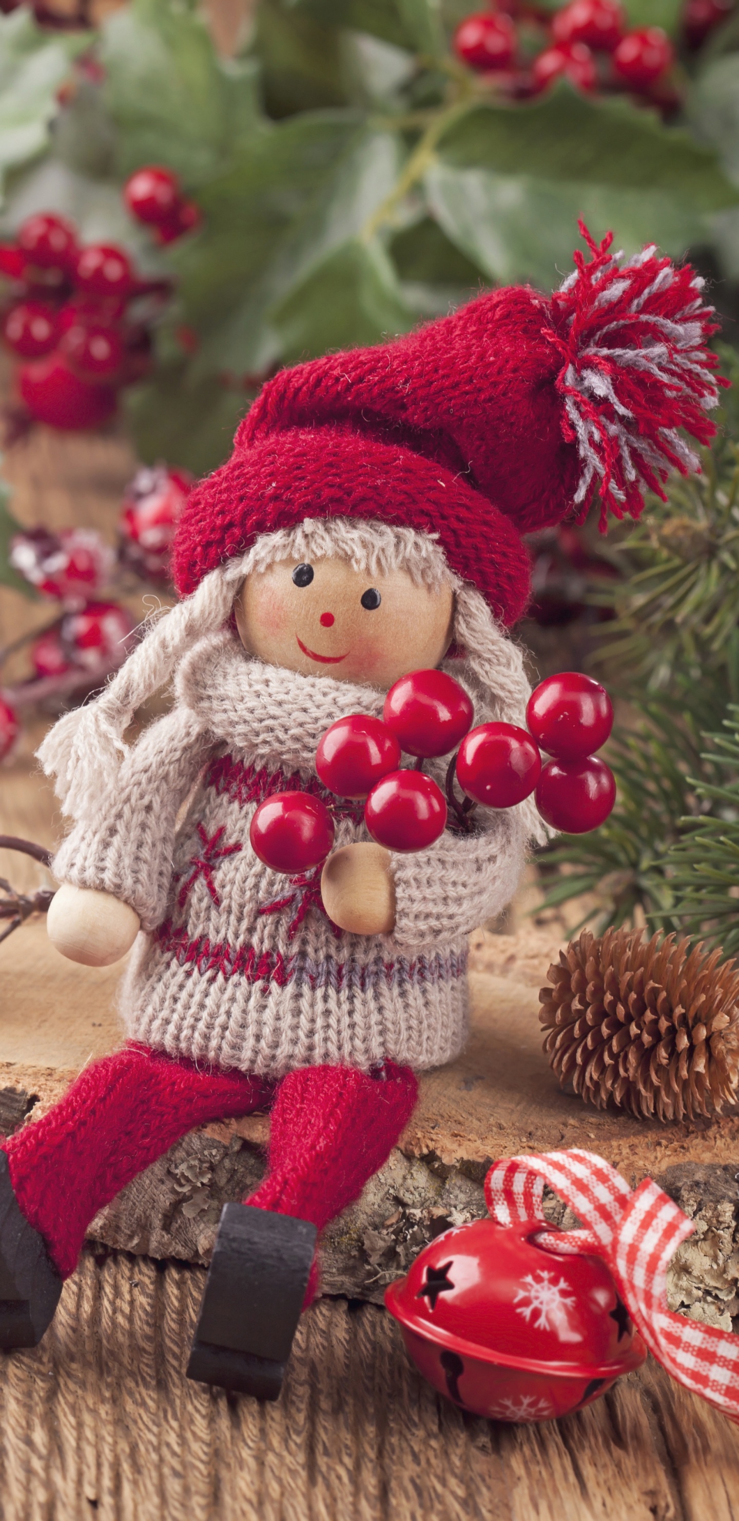 圣诞节那天, 娃娃, 圣诞老人, 圣诞节的装饰品, 圣诞装饰 壁纸 1440x2960 允许