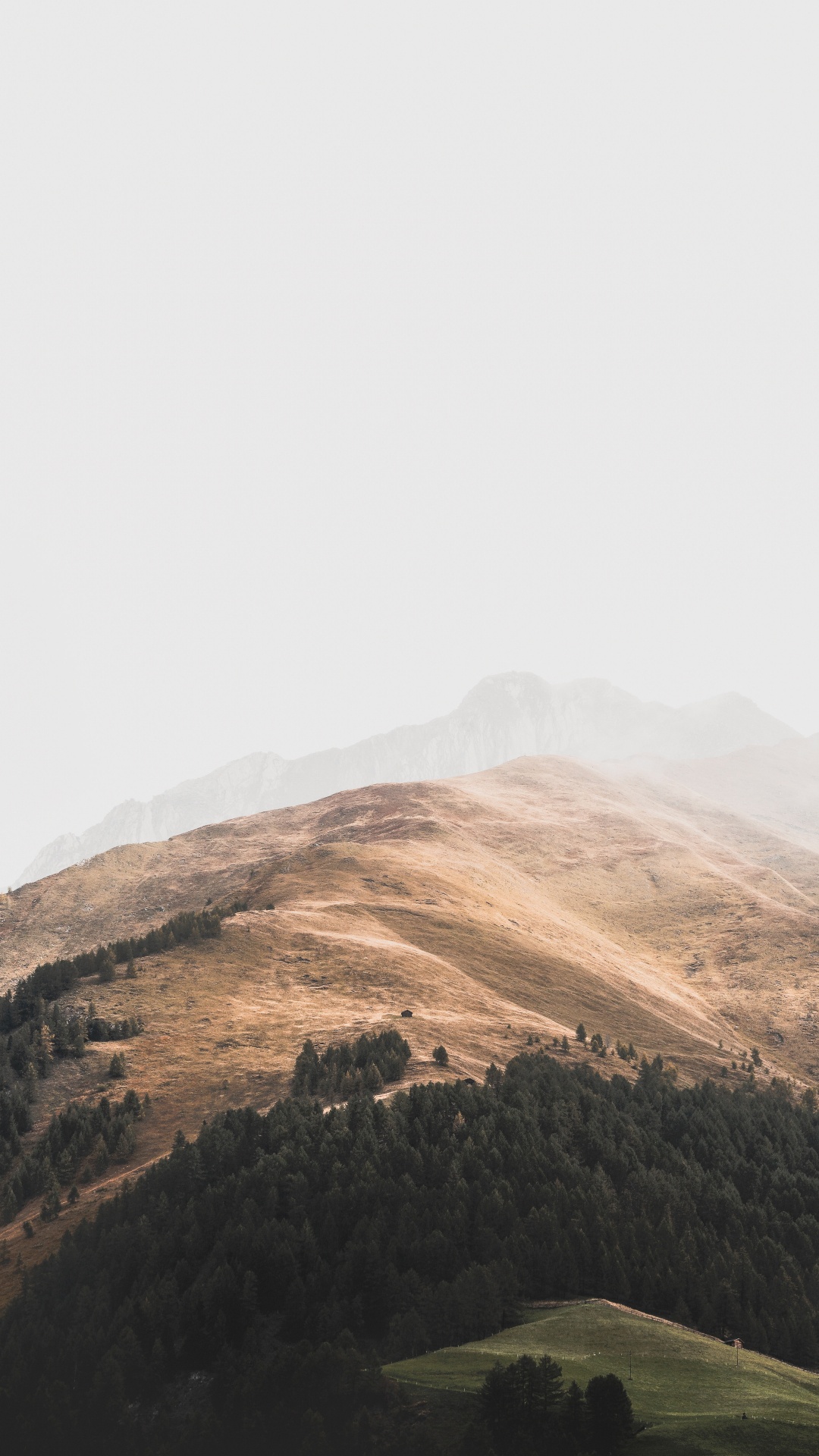 Covering Green, Sky, Highland, Cloud, Hill Station. Wallpaper in 1080x1920 Resolution