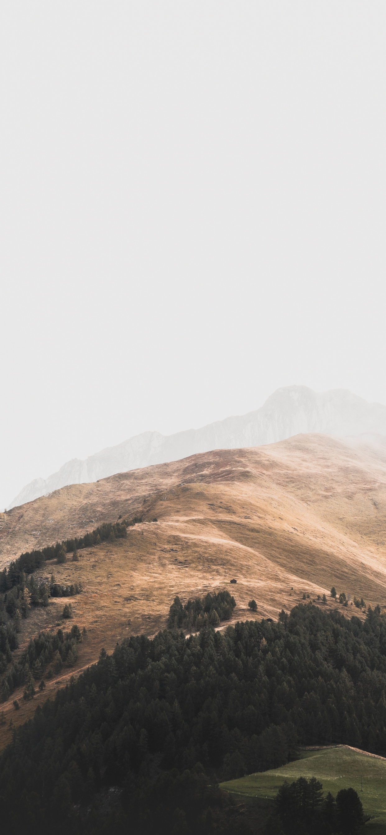 Covering Green, Sky, Highland, Cloud, Hill Station. Wallpaper in 1242x2688 Resolution