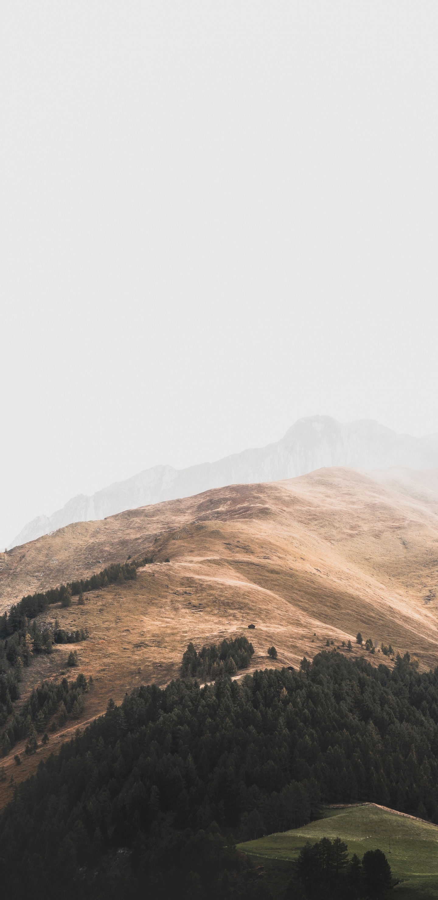 Covering Green, Sky, Highland, Cloud, Hill Station. Wallpaper in 1440x2960 Resolution