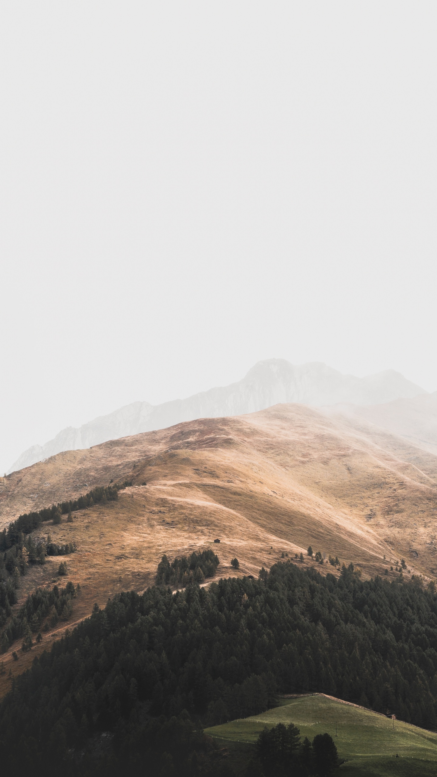 Grün Bedecken, Himmel, Hochland, Cloud, Bergstation. Wallpaper in 1440x2560 Resolution