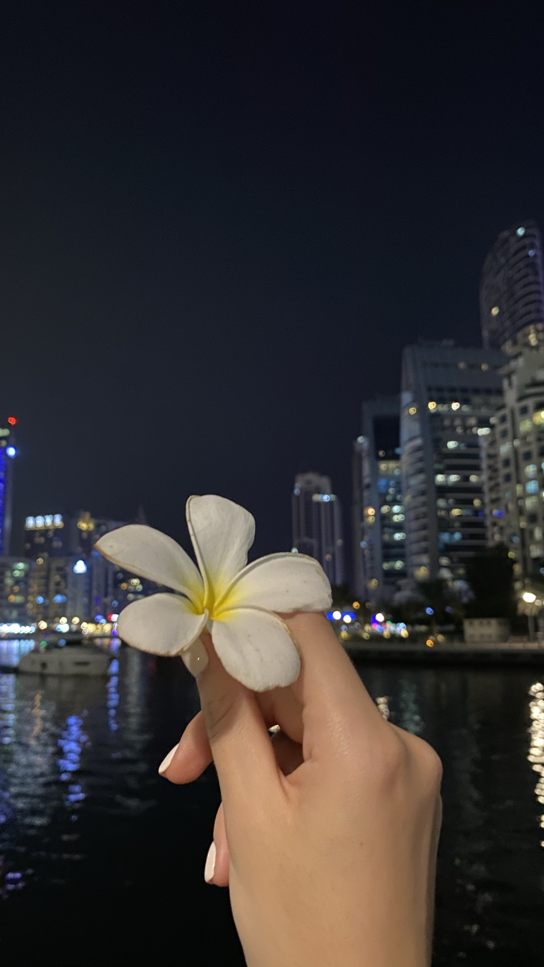 Reflection, Water, Finger, Petal, Flower. Wallpaper in 1080x1920 Resolution