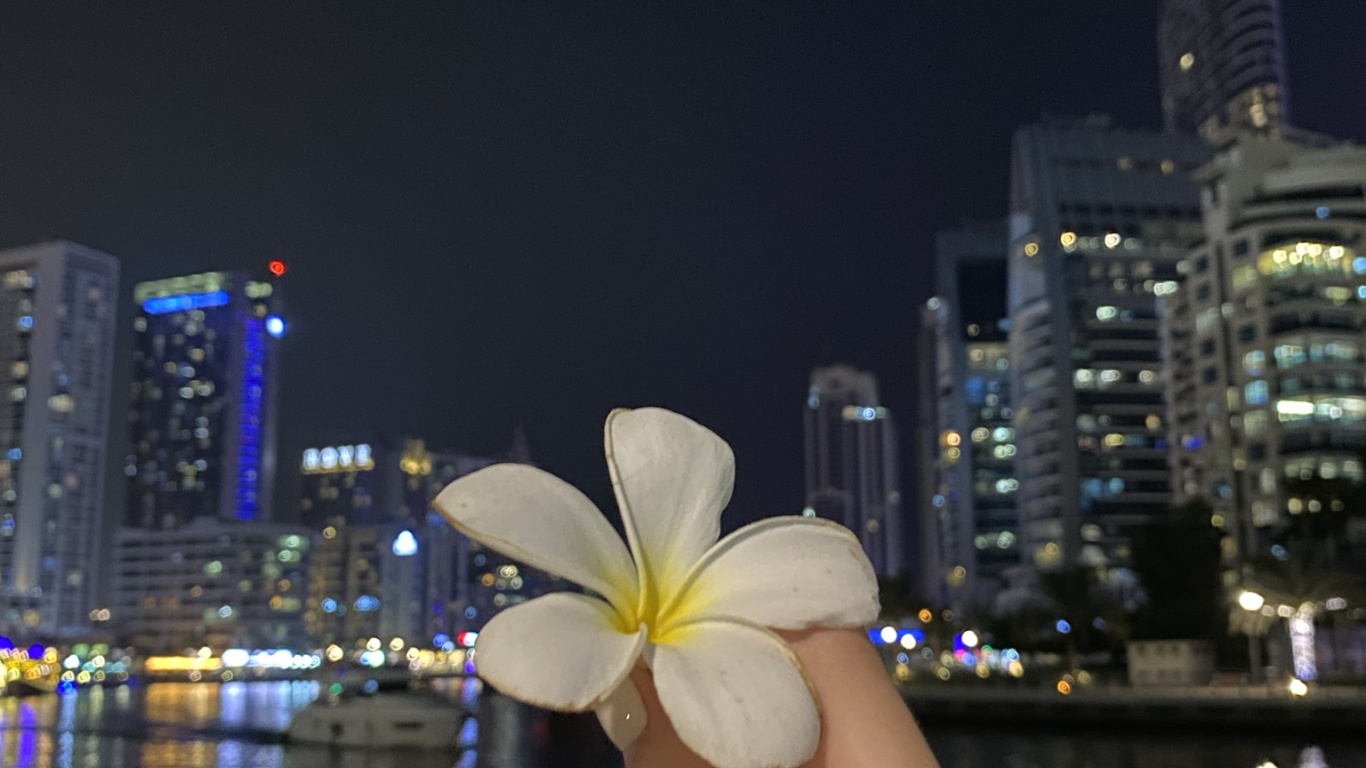 Reflection, Water, Finger, Petal, Flower. Wallpaper in 1366x768 Resolution