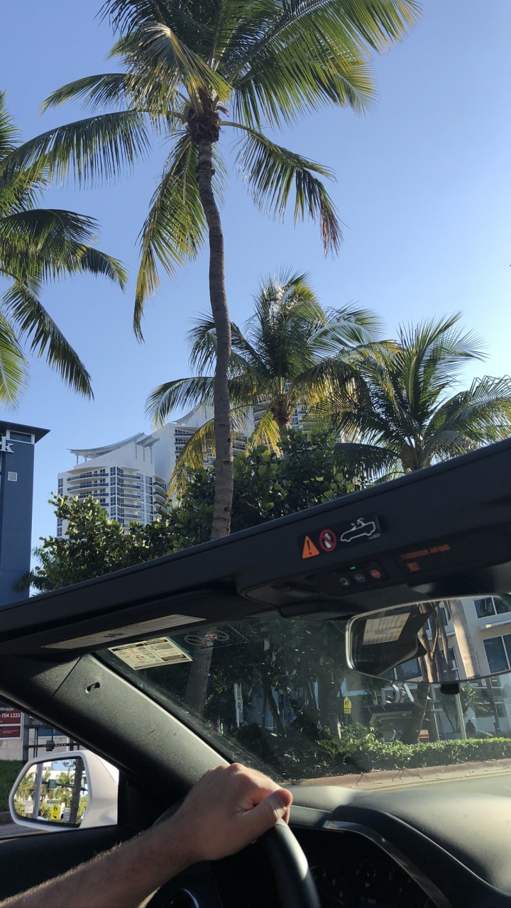 Miami, Mitte Größe Auto, Kfz-Spiegel, Baum, Automotive Exterieur. Wallpaper in 720x1280 Resolution