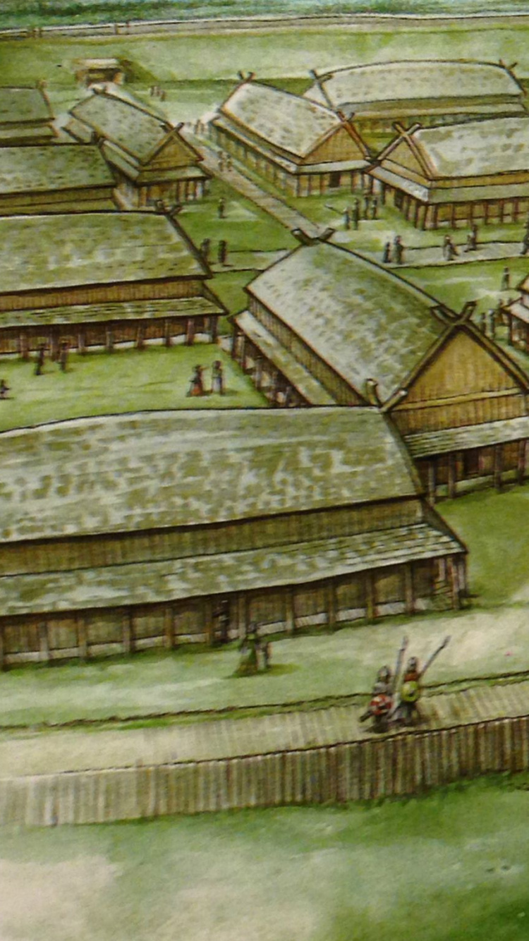 Aerial View of Green and Brown Building. Wallpaper in 750x1334 Resolution