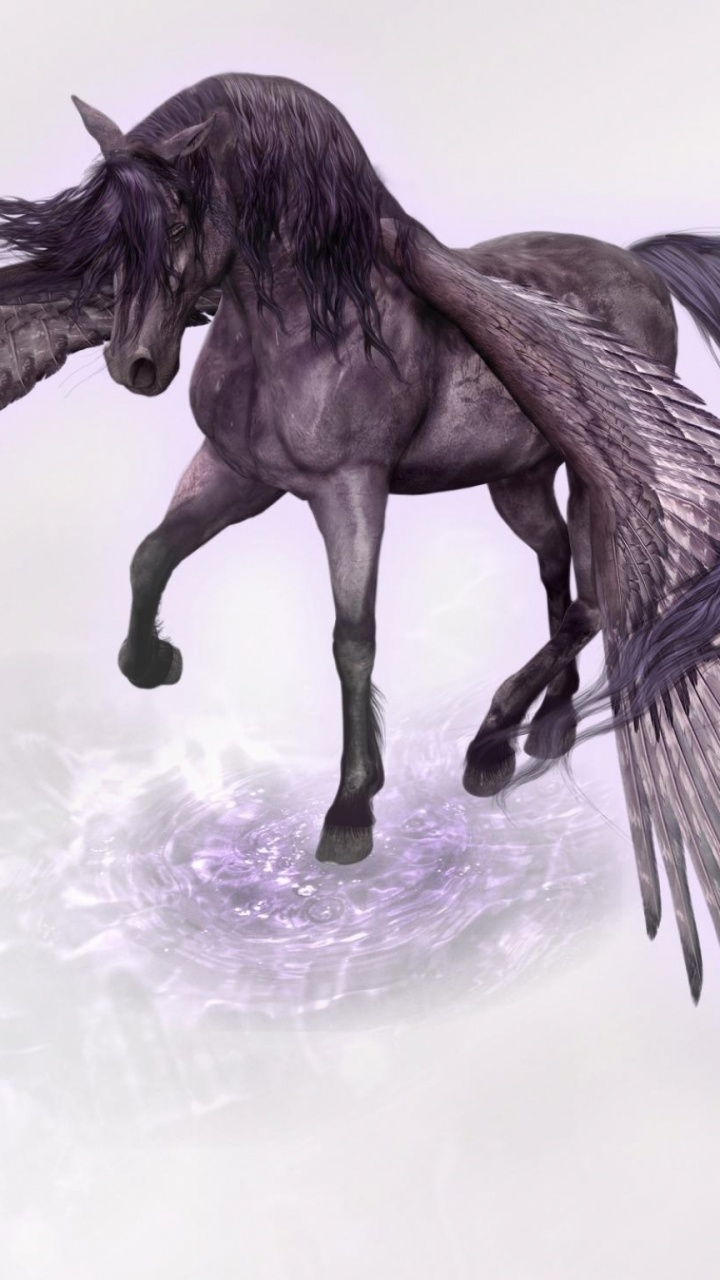 Cheval Noir Sur Neige Blanche. Wallpaper in 720x1280 Resolution