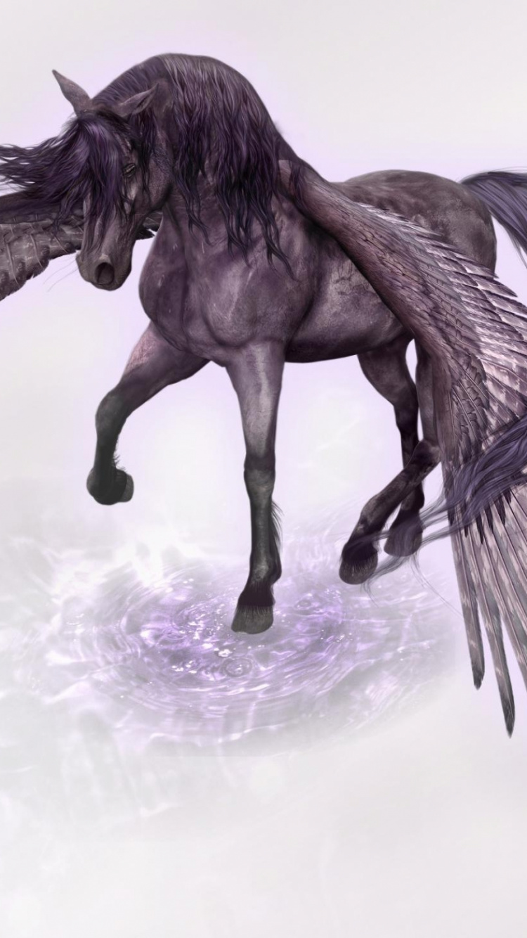 Cheval Noir Sur Neige Blanche. Wallpaper in 750x1334 Resolution