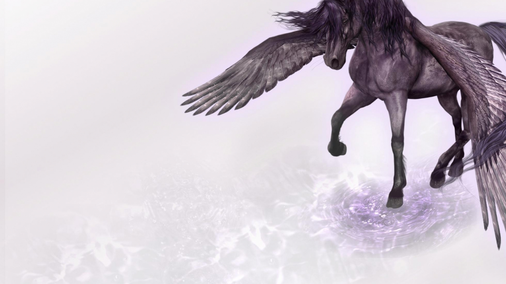 Black Horse on White Snow. Wallpaper in 1920x1080 Resolution