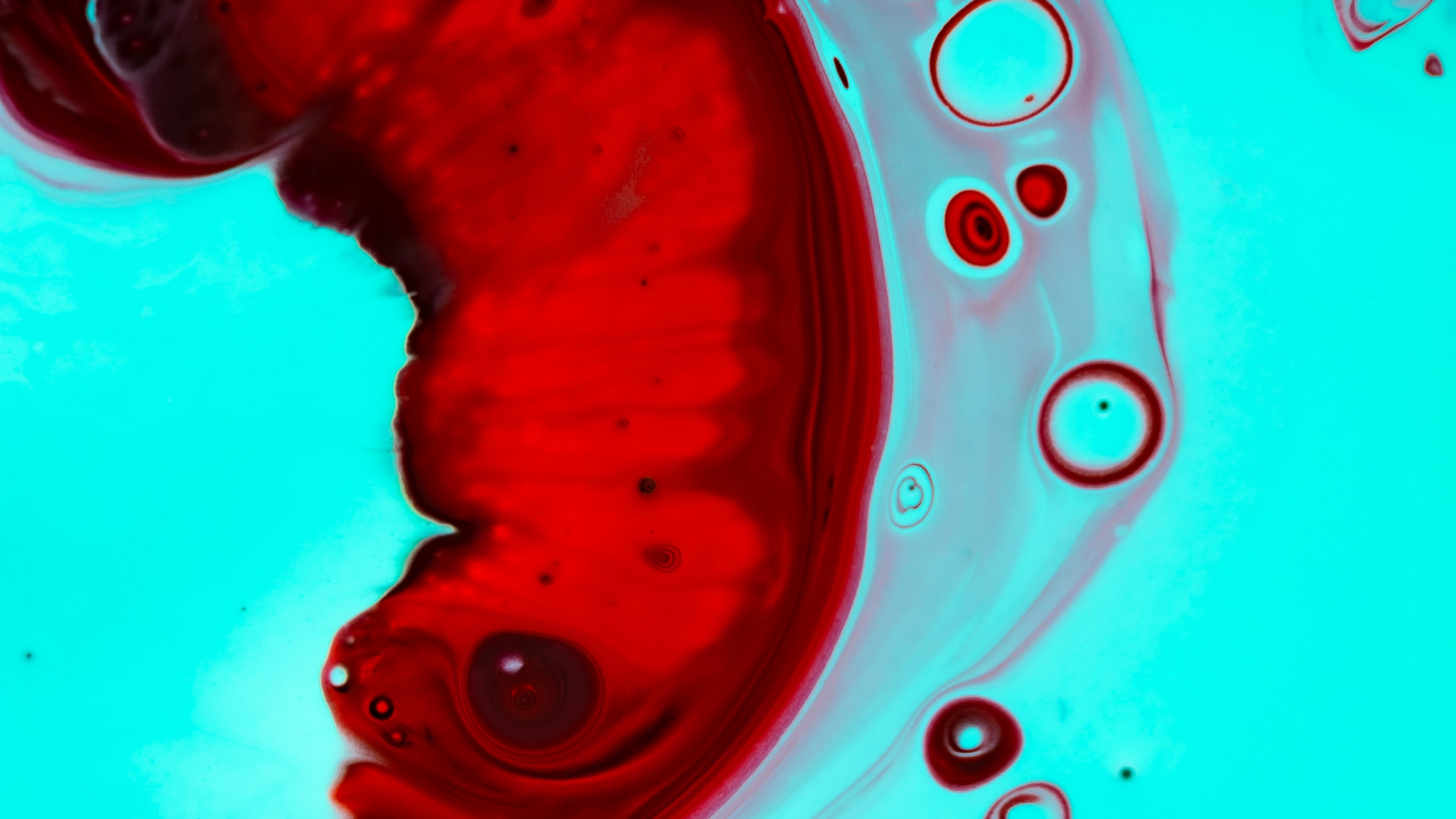 Eau, Liquid, Arts Visuels, Graphisme, Peinture Acrylique. Wallpaper in 2560x1440 Resolution