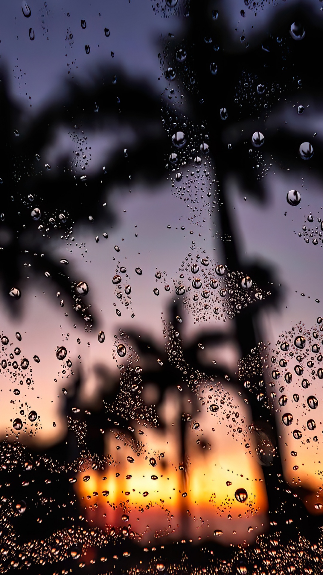 Water, Liquid, Atmosphere, Light, Nature. Wallpaper in 1080x1920 Resolution