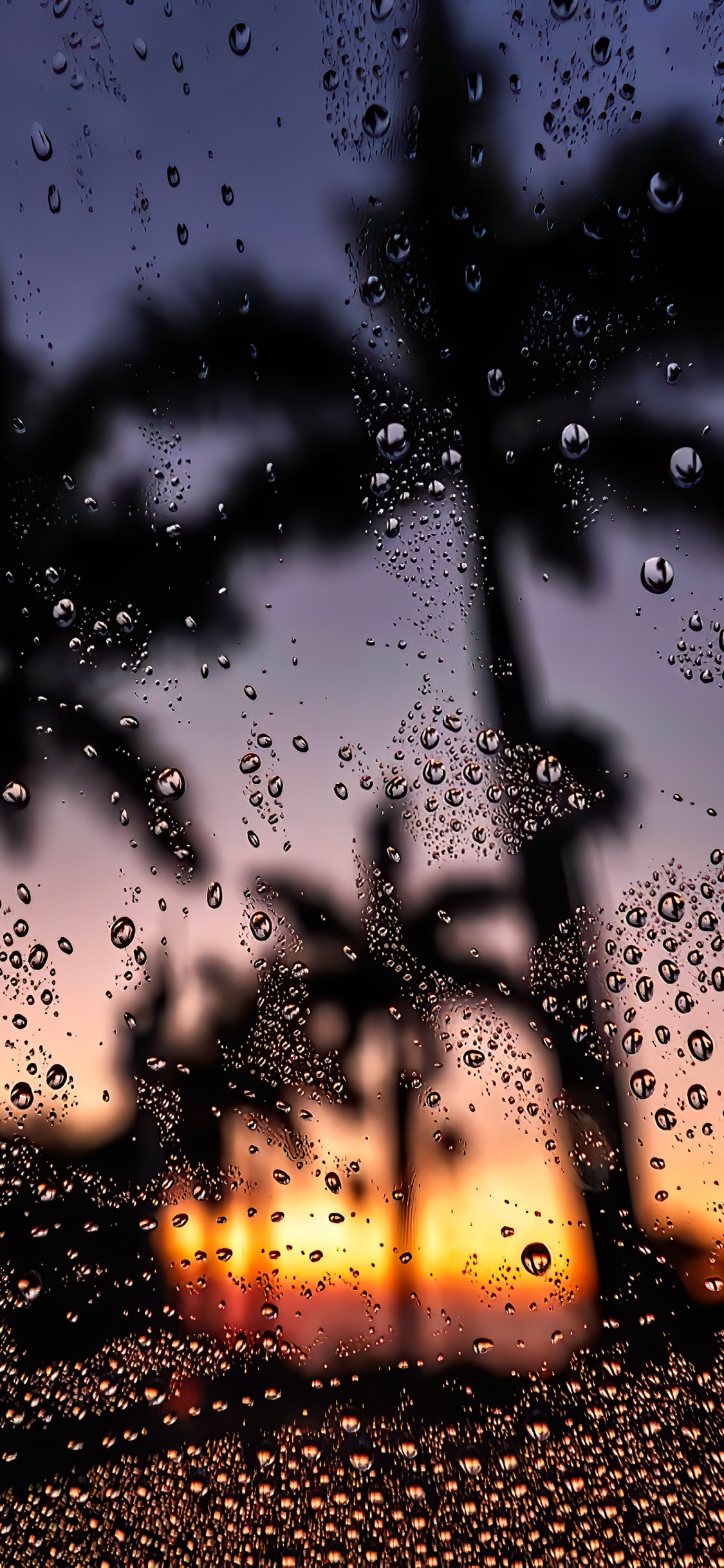 Water, Liquid, Atmosphere, Light, Nature. Wallpaper in 1125x2436 Resolution