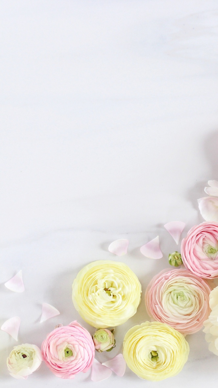 Pink and White Roses on White Textile. Wallpaper in 720x1280 Resolution