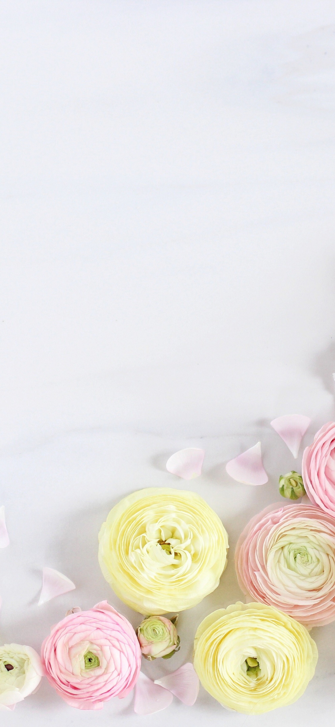 Rosas Rosadas y Blancas Sobre Textil Blanco. Wallpaper in 1125x2436 Resolution