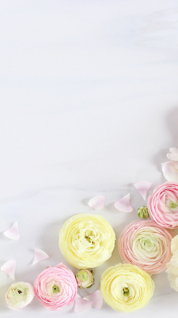 Roses Roses et Blanches Sur Textile Blanc. Wallpaper in 750x1334 Resolution