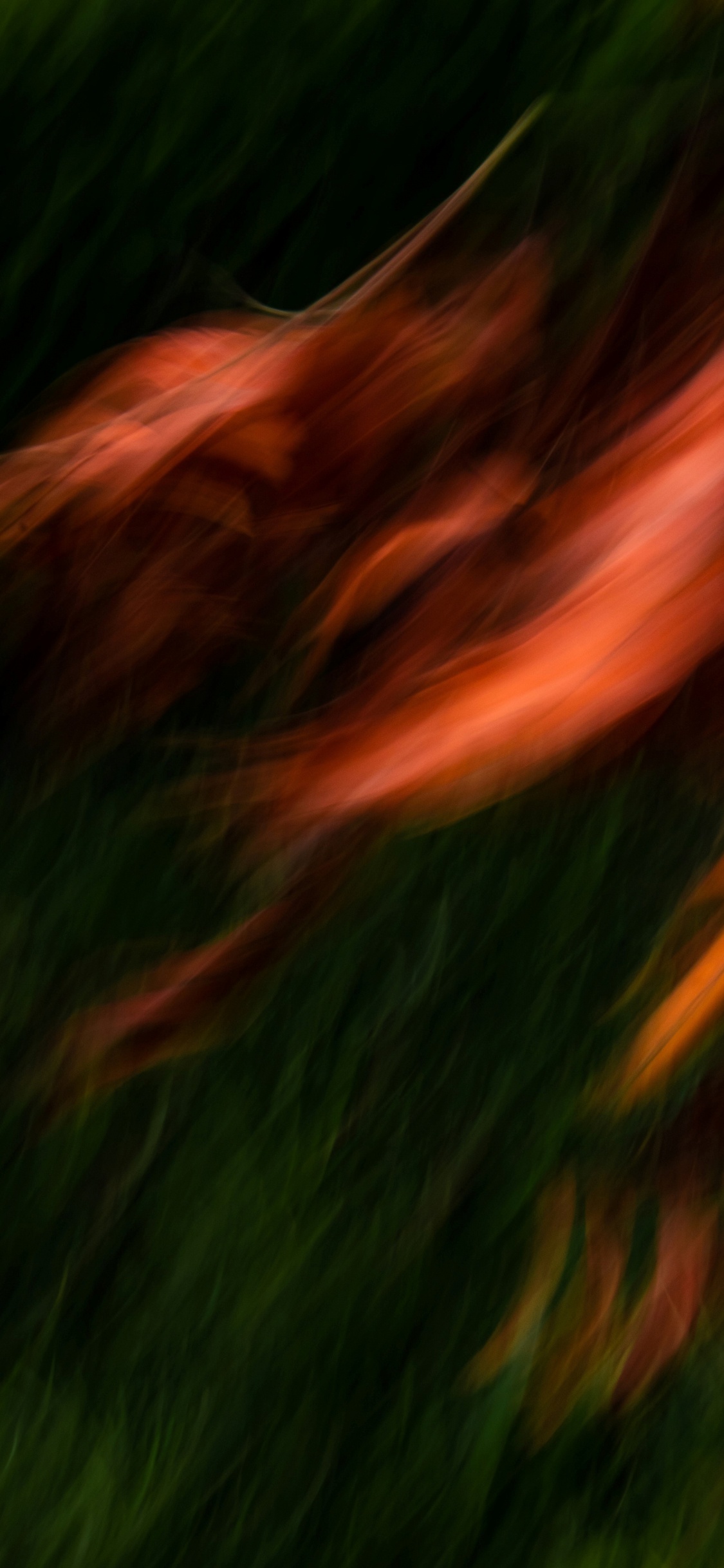 Agua, Paisaje Natural, Madera, Viento, Patrón. Wallpaper in 1125x2436 Resolution