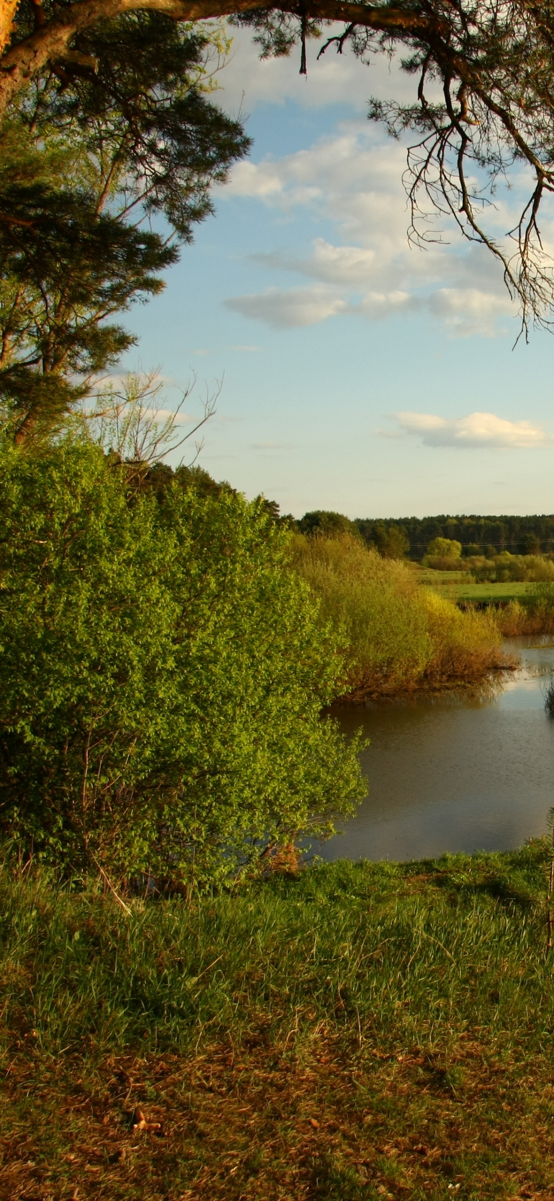 Green Grass Field Near Lake Under Blue Sky During Daytime. Wallpaper in 1125x2436 Resolution