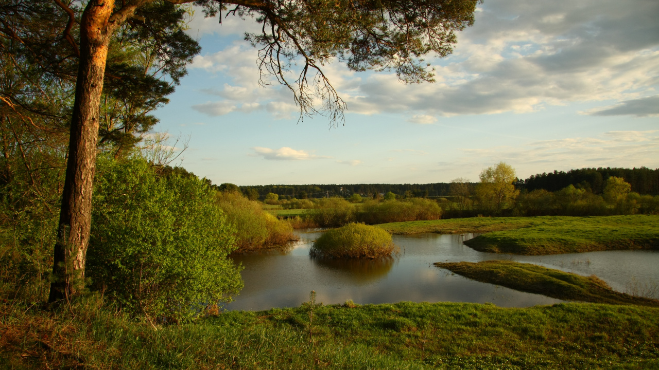 Green Grass Field Near Lake Under Blue Sky During Daytime. Wallpaper in 1280x720 Resolution