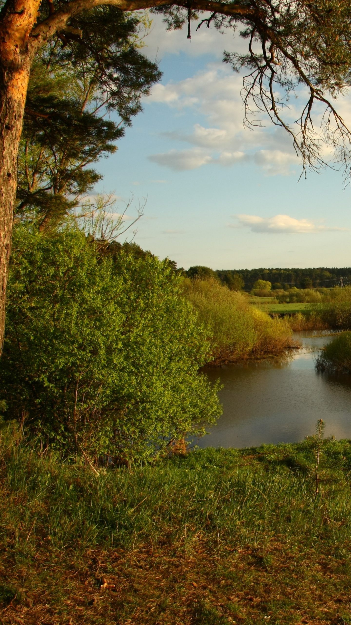 Green Grass Field Near Lake Under Blue Sky During Daytime. Wallpaper in 1440x2560 Resolution