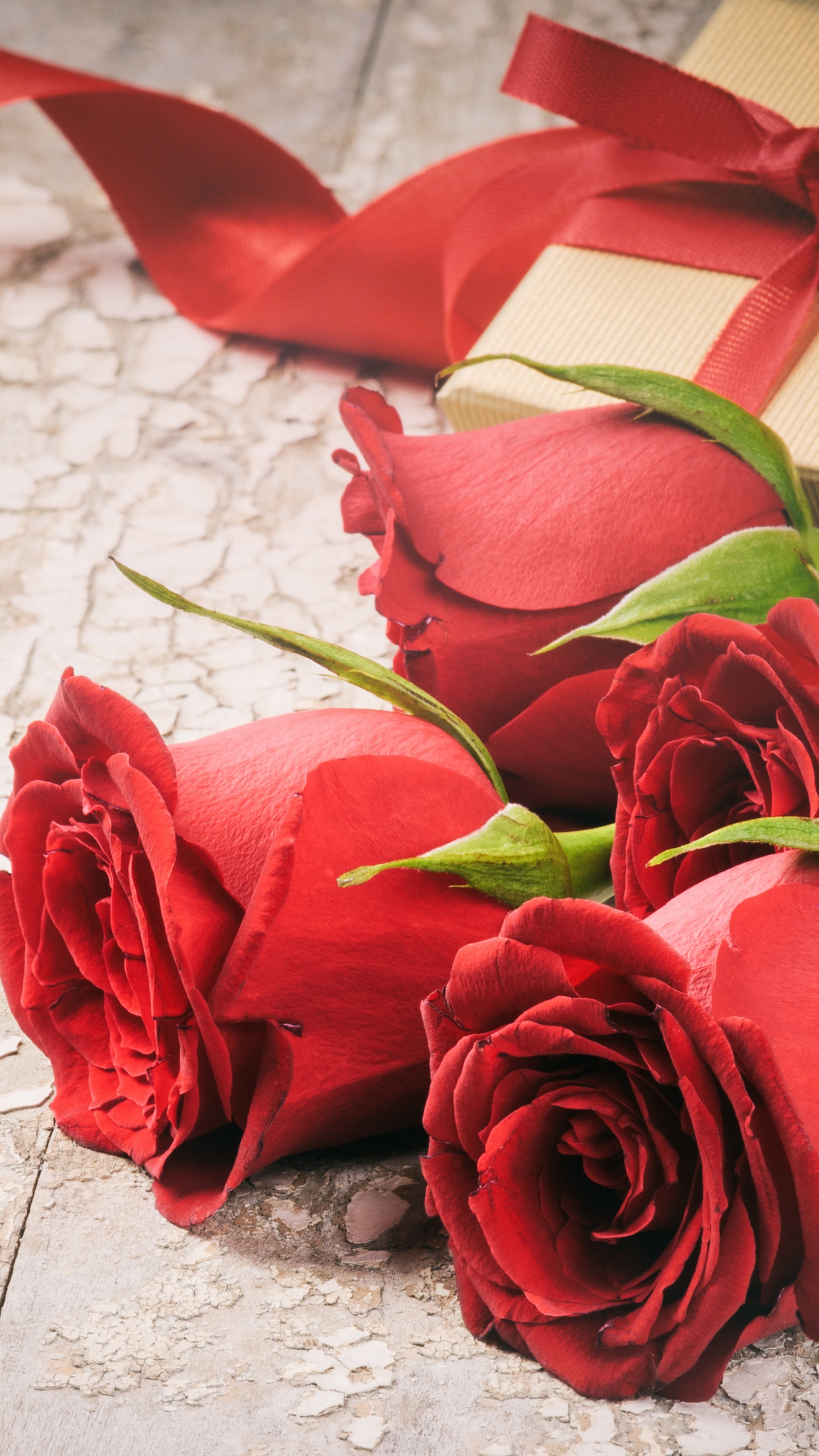 Roses Rouges Sur Textile Blanc. Wallpaper in 1440x2560 Resolution