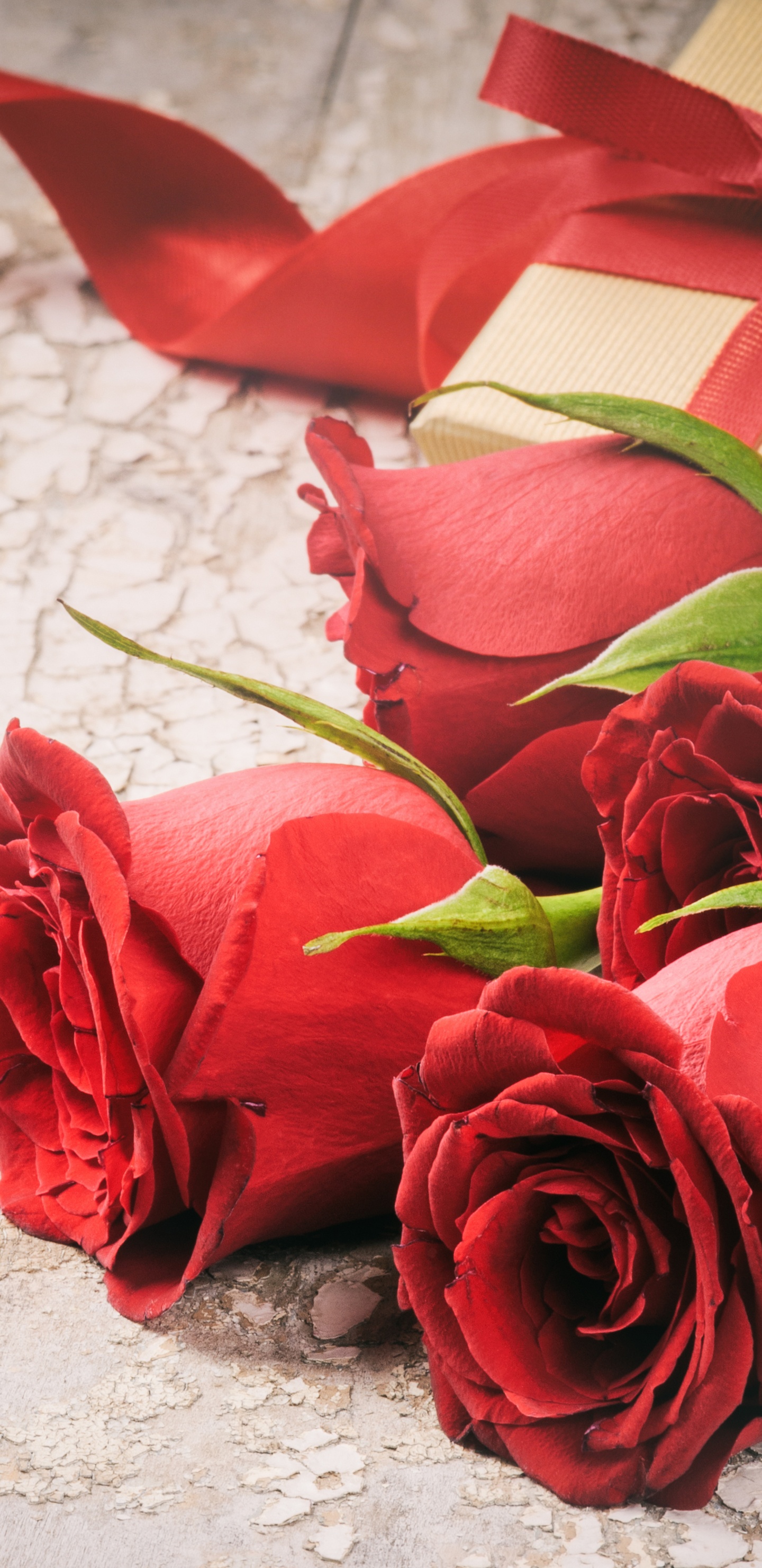 Roses Rouges Sur Textile Blanc. Wallpaper in 1440x2960 Resolution
