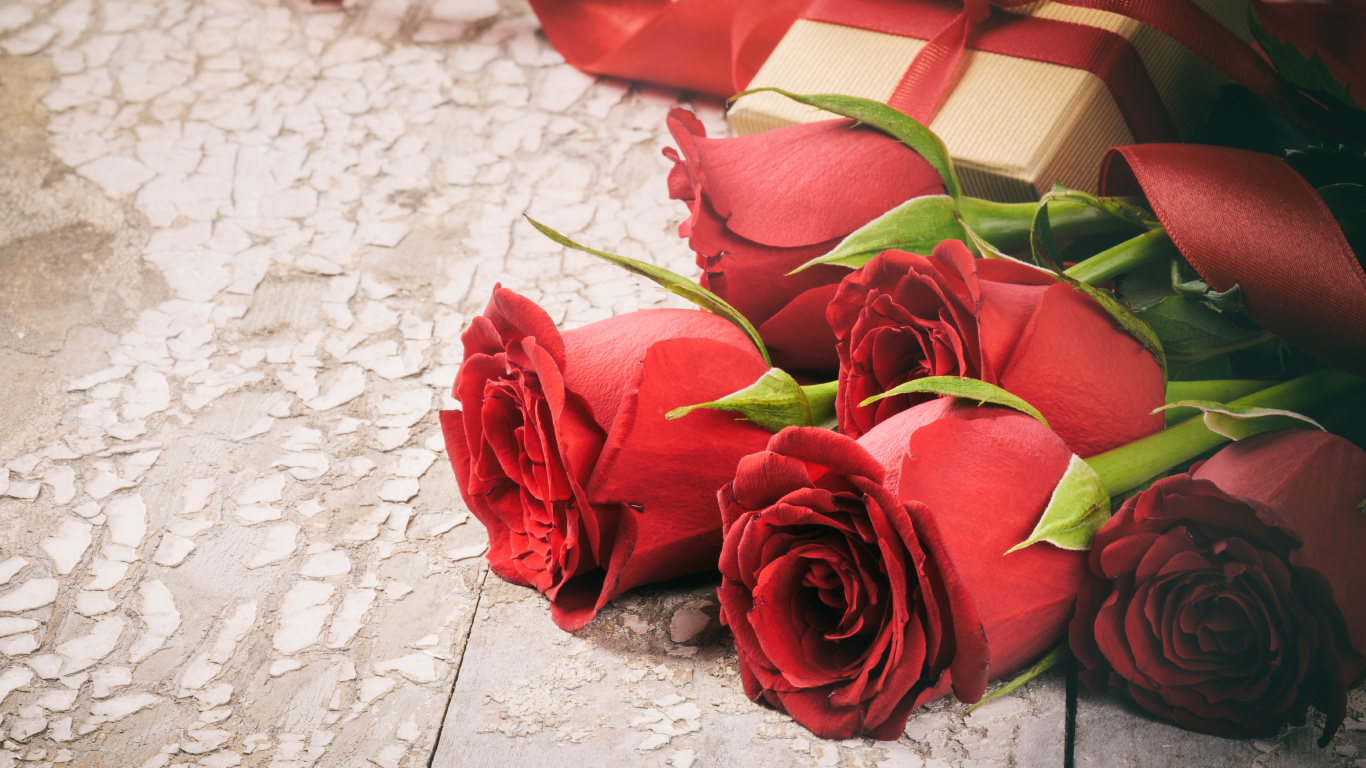 Red Roses on White Textile. Wallpaper in 1366x768 Resolution