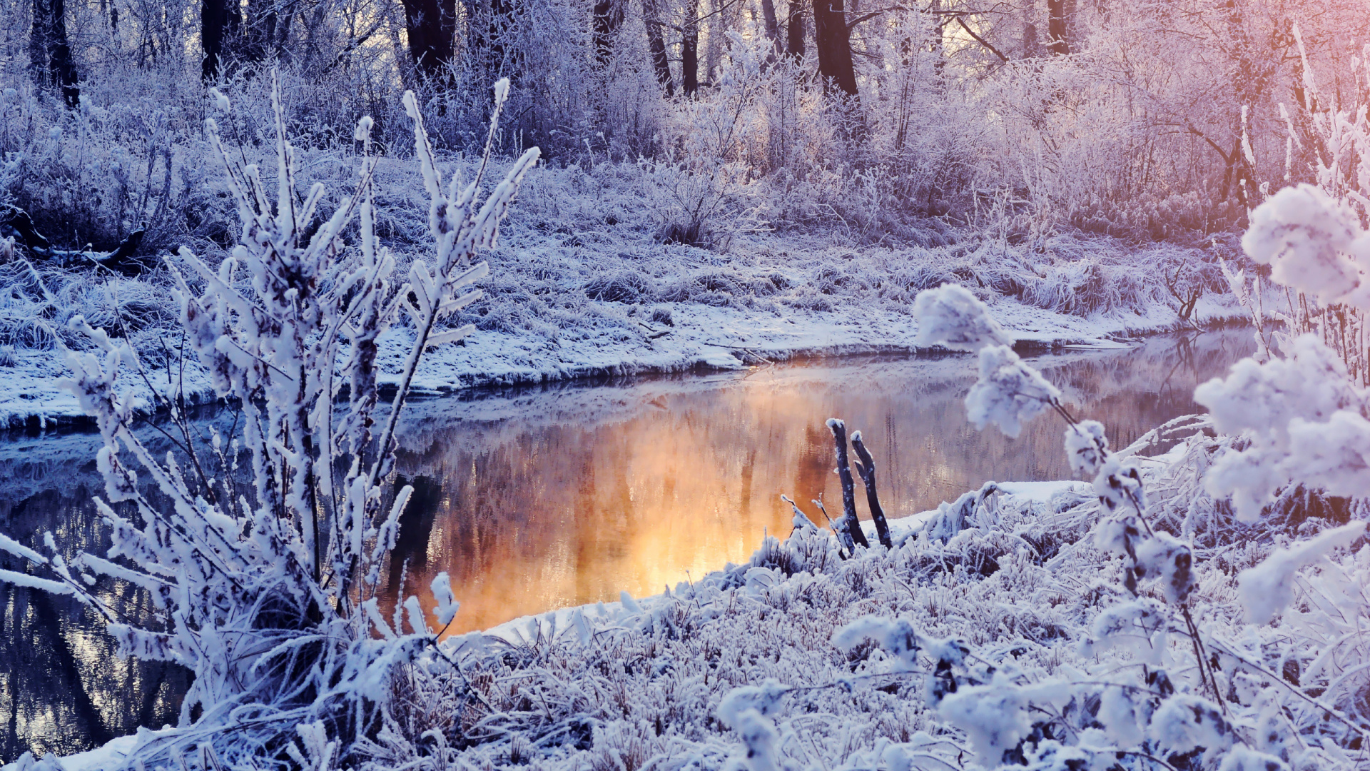 Animal Brun Sur Sol Couvert de Neige. Wallpaper in 1920x1080 Resolution