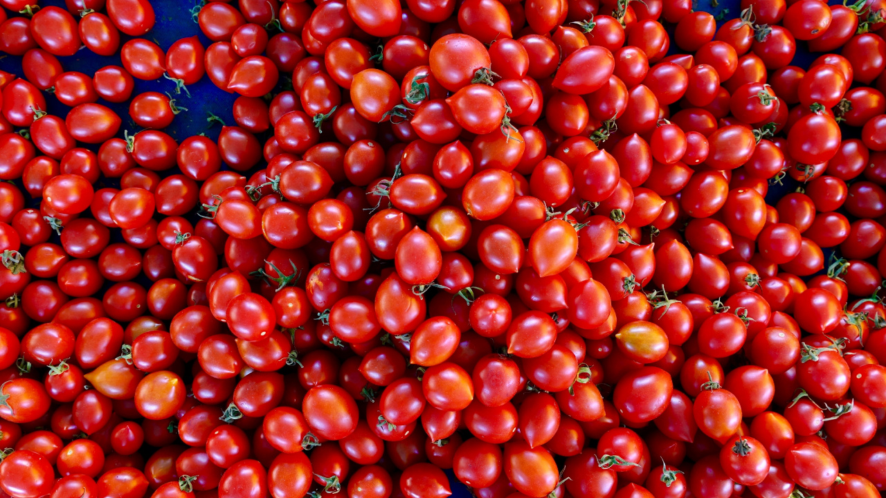Red Round Fruits on Blue Plastic Container. Wallpaper in 1280x720 Resolution