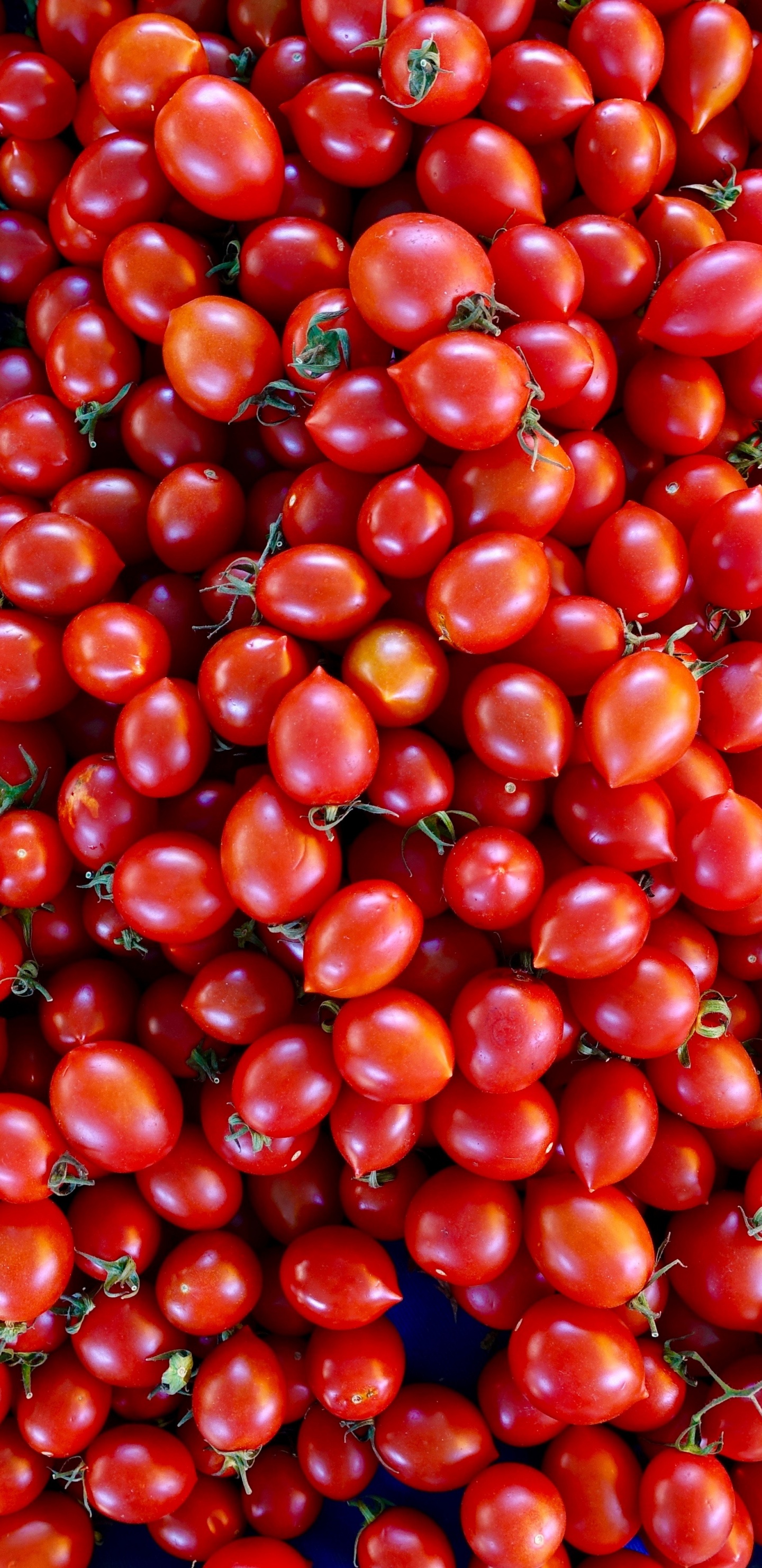 Red Round Fruits on Blue Plastic Container. Wallpaper in 1440x2960 Resolution
