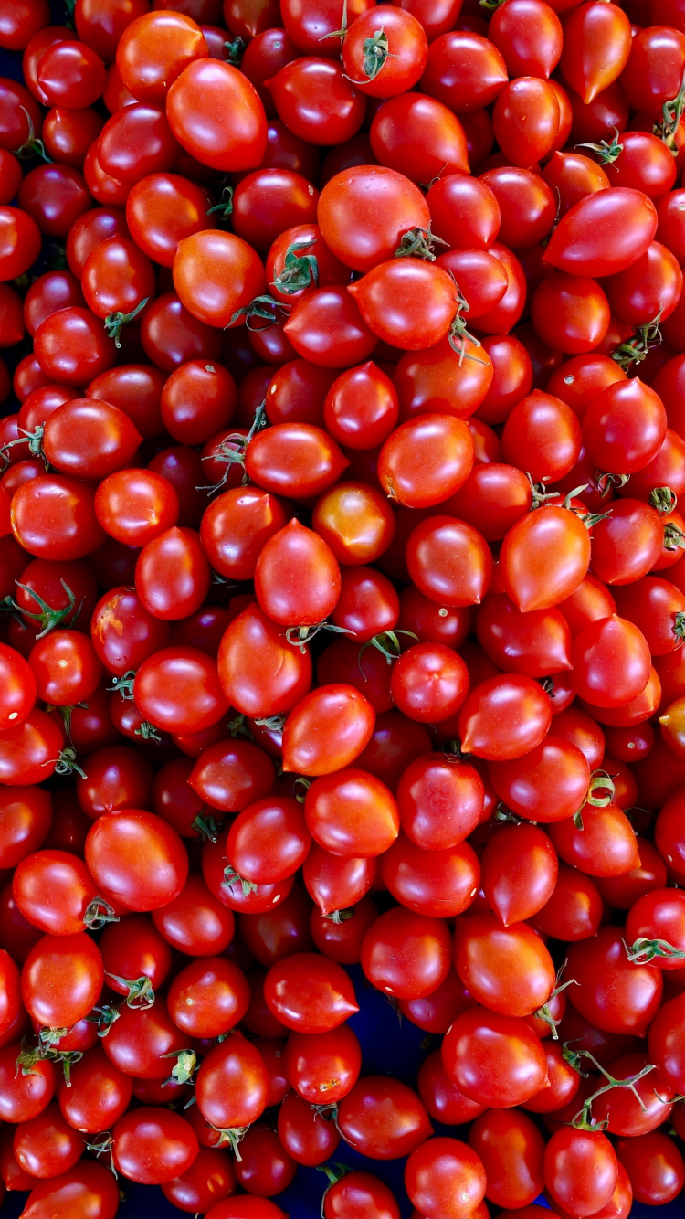 Fruits Ronds Rouges Sur Récipient en Plastique Bleu. Wallpaper in 750x1334 Resolution