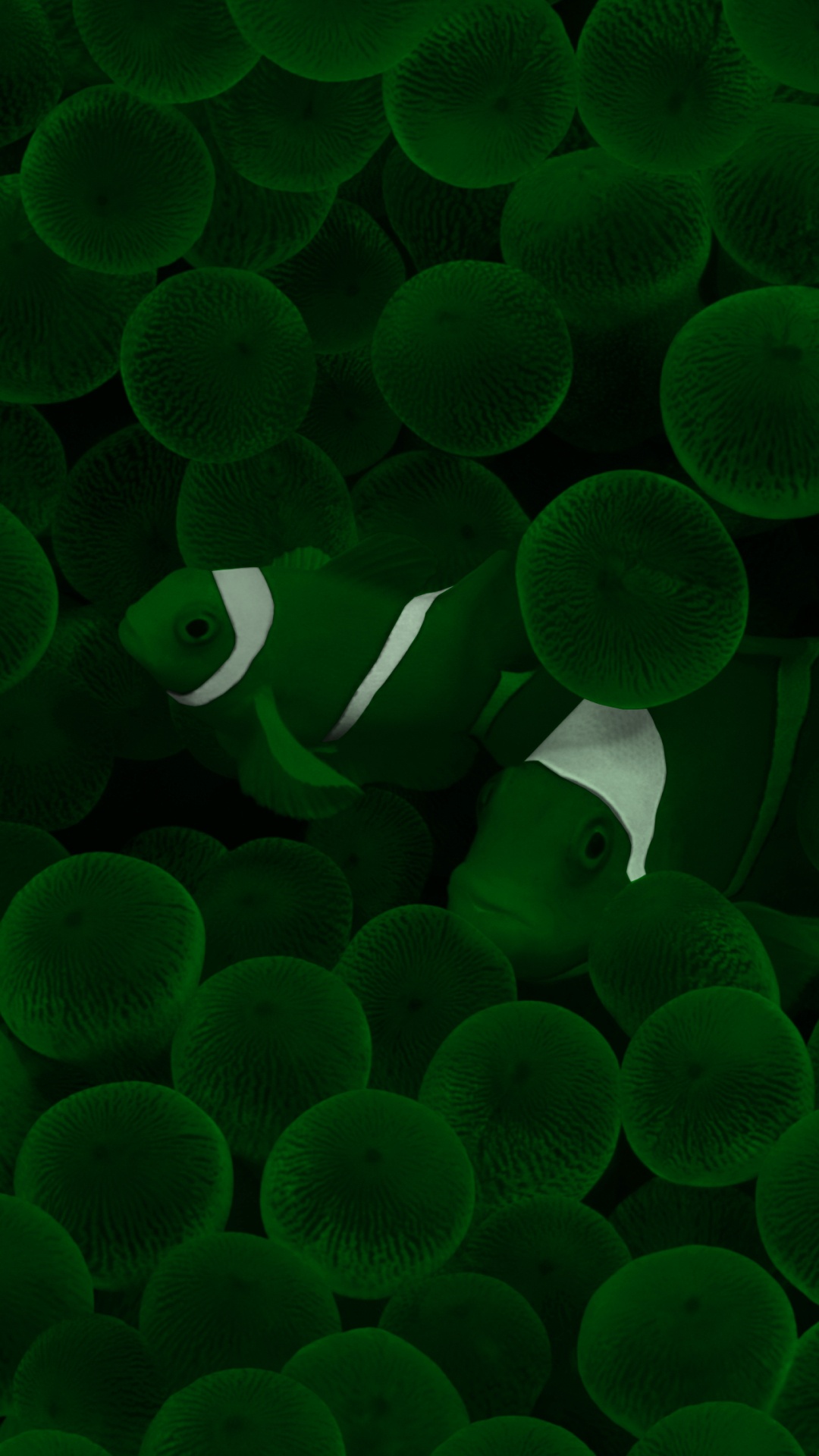 Pez en el Mar, Agua, Verde, Luz, la Botánica. Wallpaper in 1080x1920 Resolution