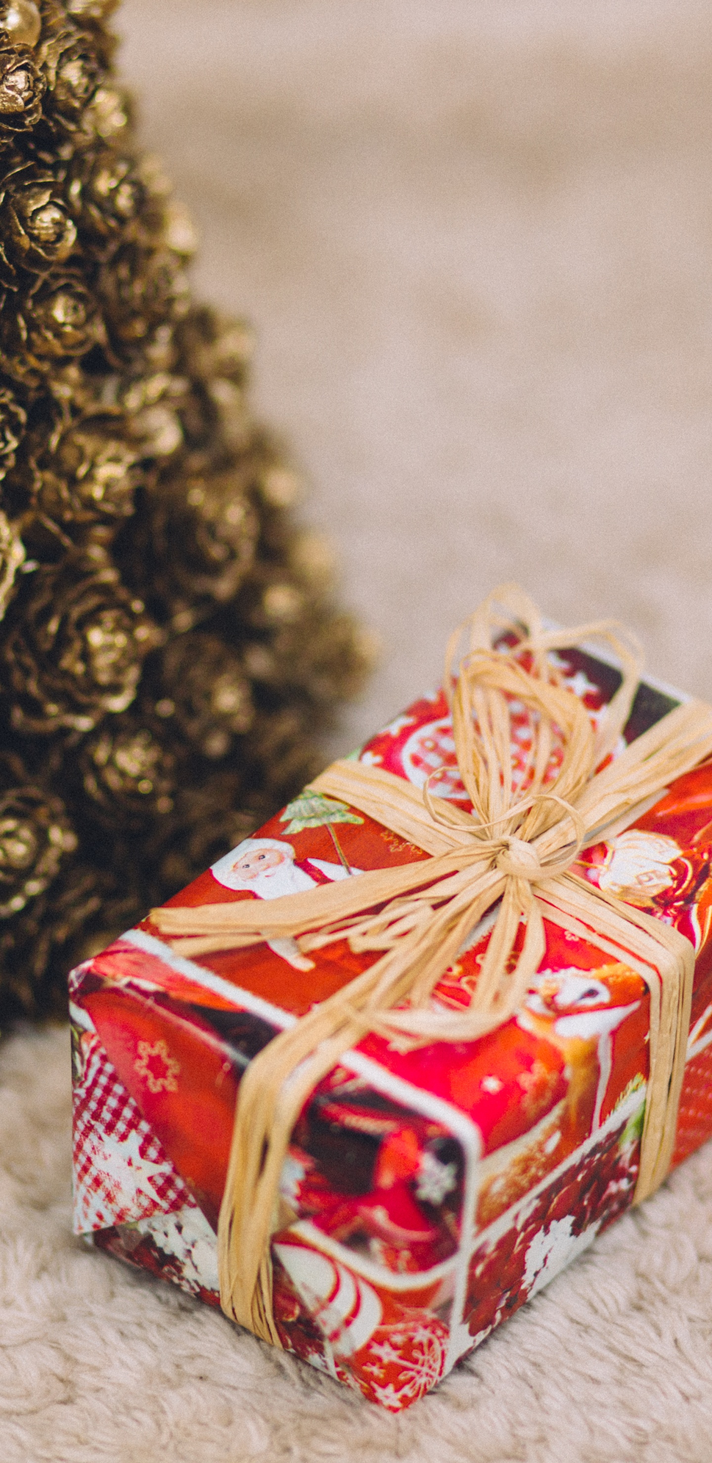 Christmas and Holiday Season, Ded Moroz, Christmas, Ornament, Christmas Day. Wallpaper in 1440x2960 Resolution