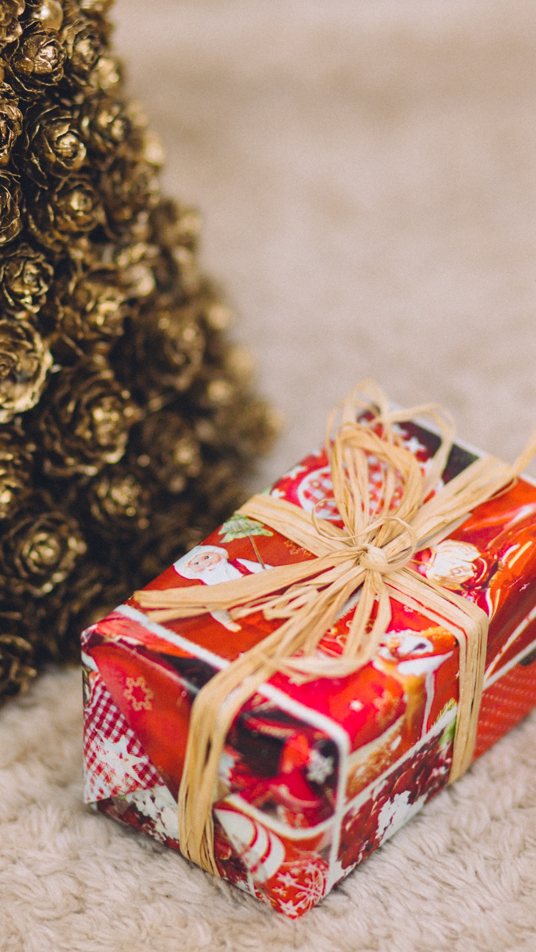 Noël et Les Fêtes, Ded Moroz, Ornement, Le Jour De Noël, Présent. Wallpaper in 1080x1920 Resolution