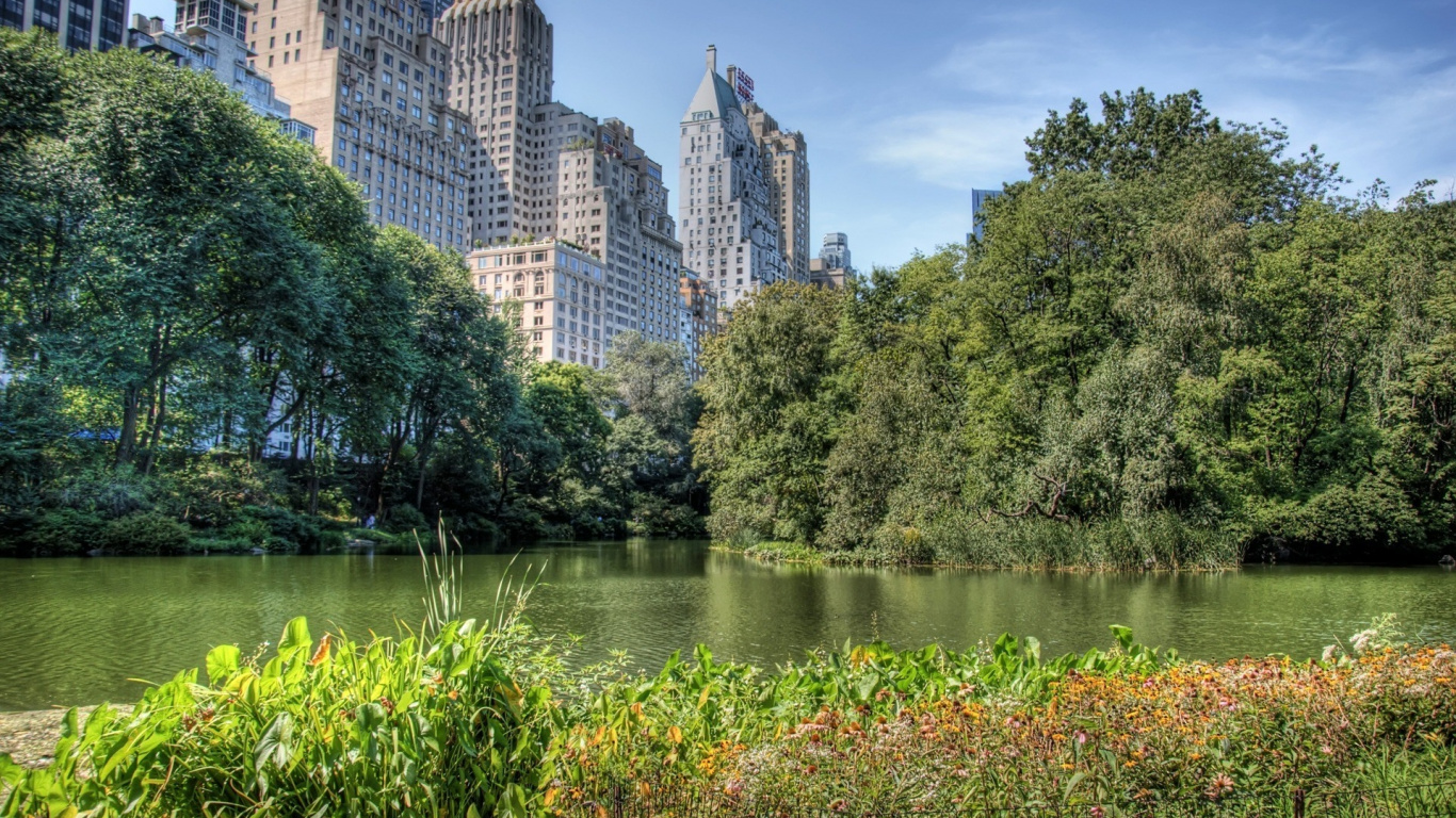 Green Trees Near Body of Water During Daytime. Wallpaper in 1366x768 Resolution