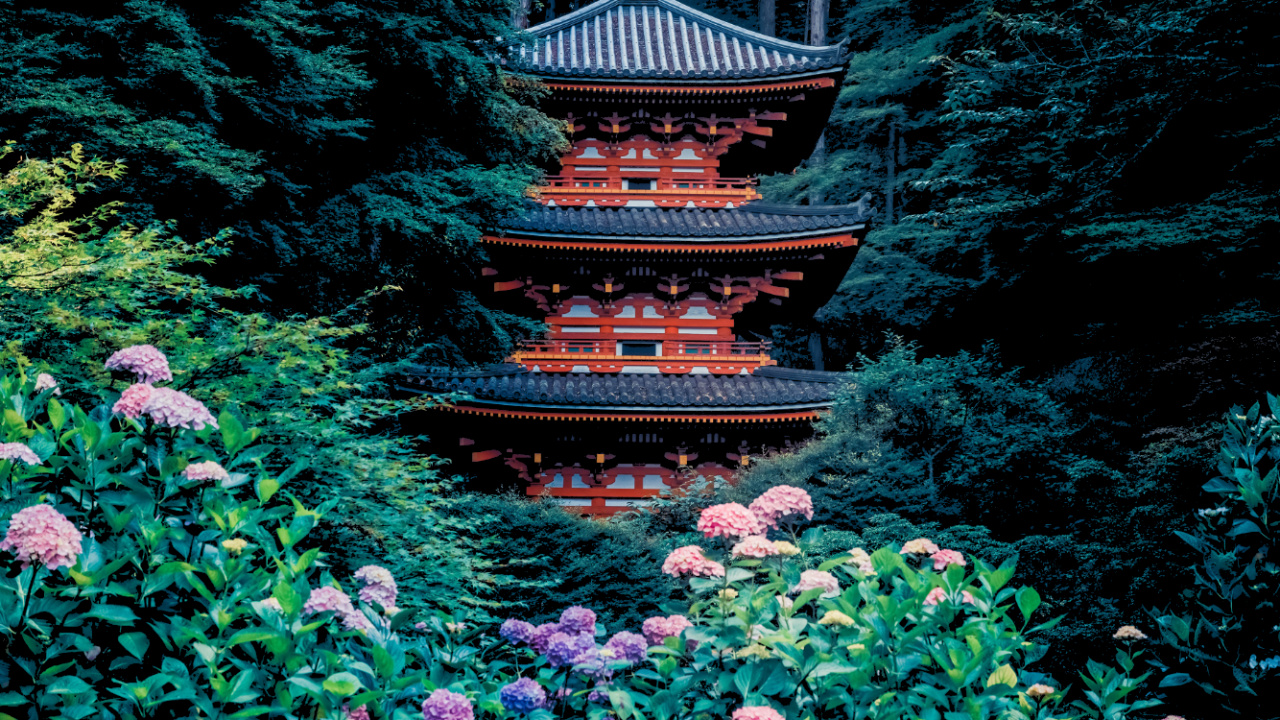 Gansenji, Marrant, Feuille, Environnement Naturel, Botanique. Wallpaper in 1280x720 Resolution