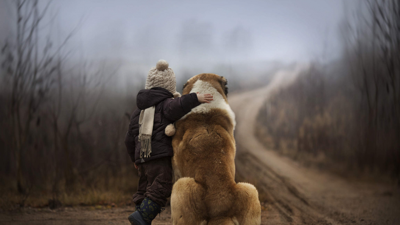 Dog, Snout, Fur, Dog Like Mammal, Purebred Dogs. Wallpaper in 1366x768 Resolution