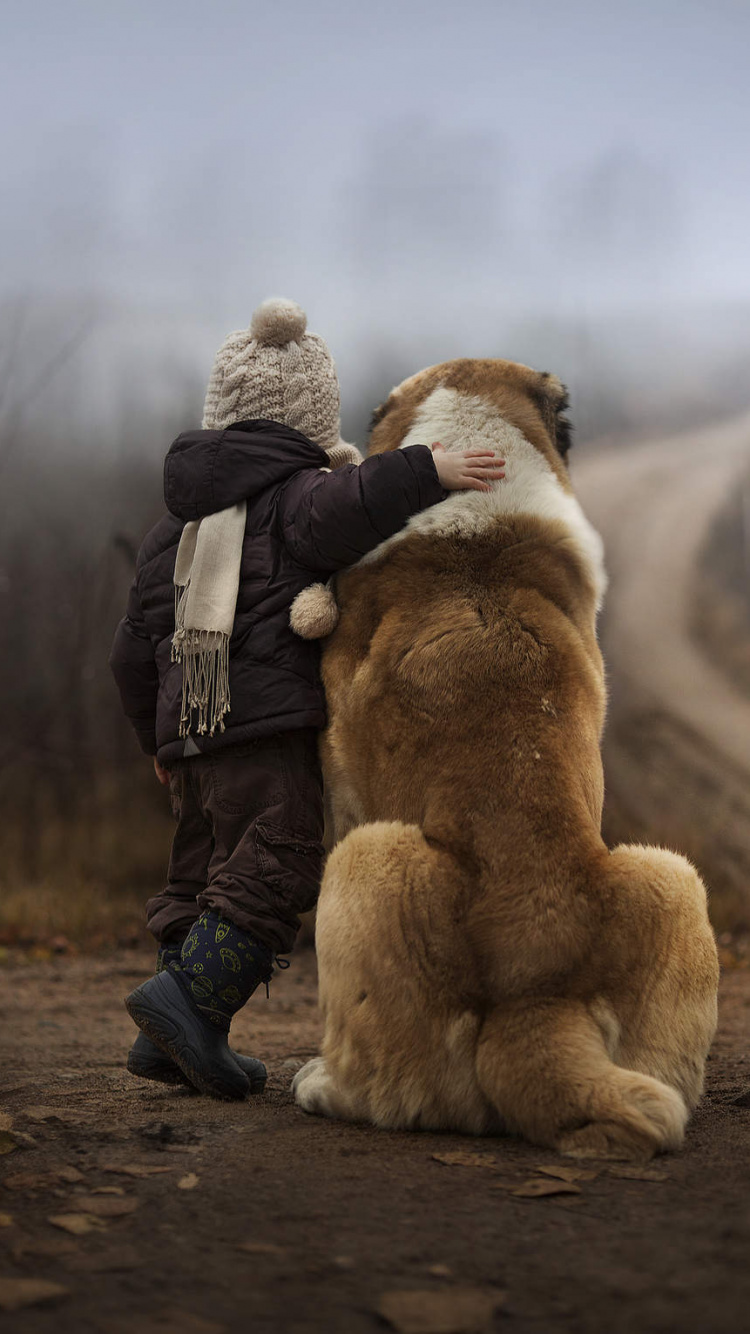 Perro, Pelaje, Perro Como el de Los Mamíferos, Perros de Raza Pura. Wallpaper in 750x1334 Resolution