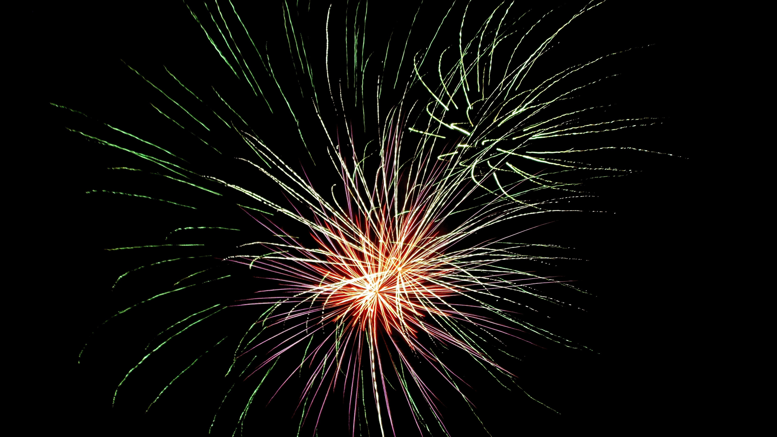 烟花, 缔约方, 新年当天, 午夜, 排灯节 壁纸 2560x1440 允许