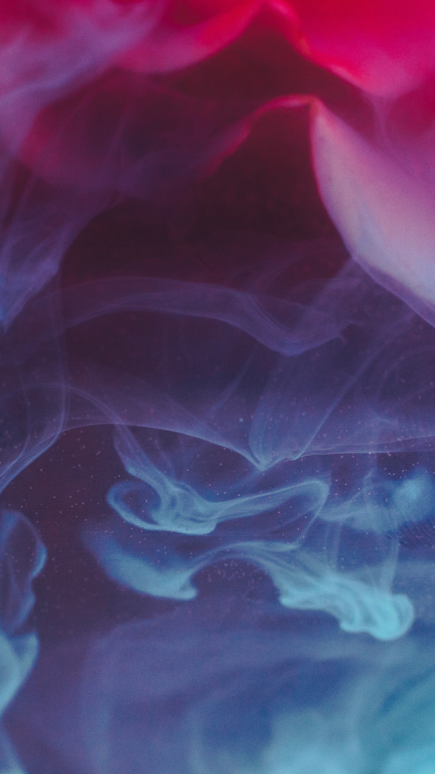 Rosa Und Weiße Abstrakte Malerei. Wallpaper in 1440x2560 Resolution