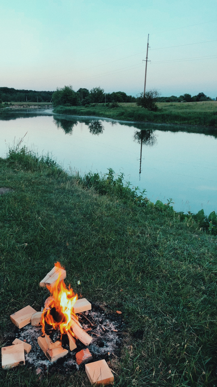 反射, 水资源, 湿地, 性质, 自然景观 壁纸 750x1334 允许