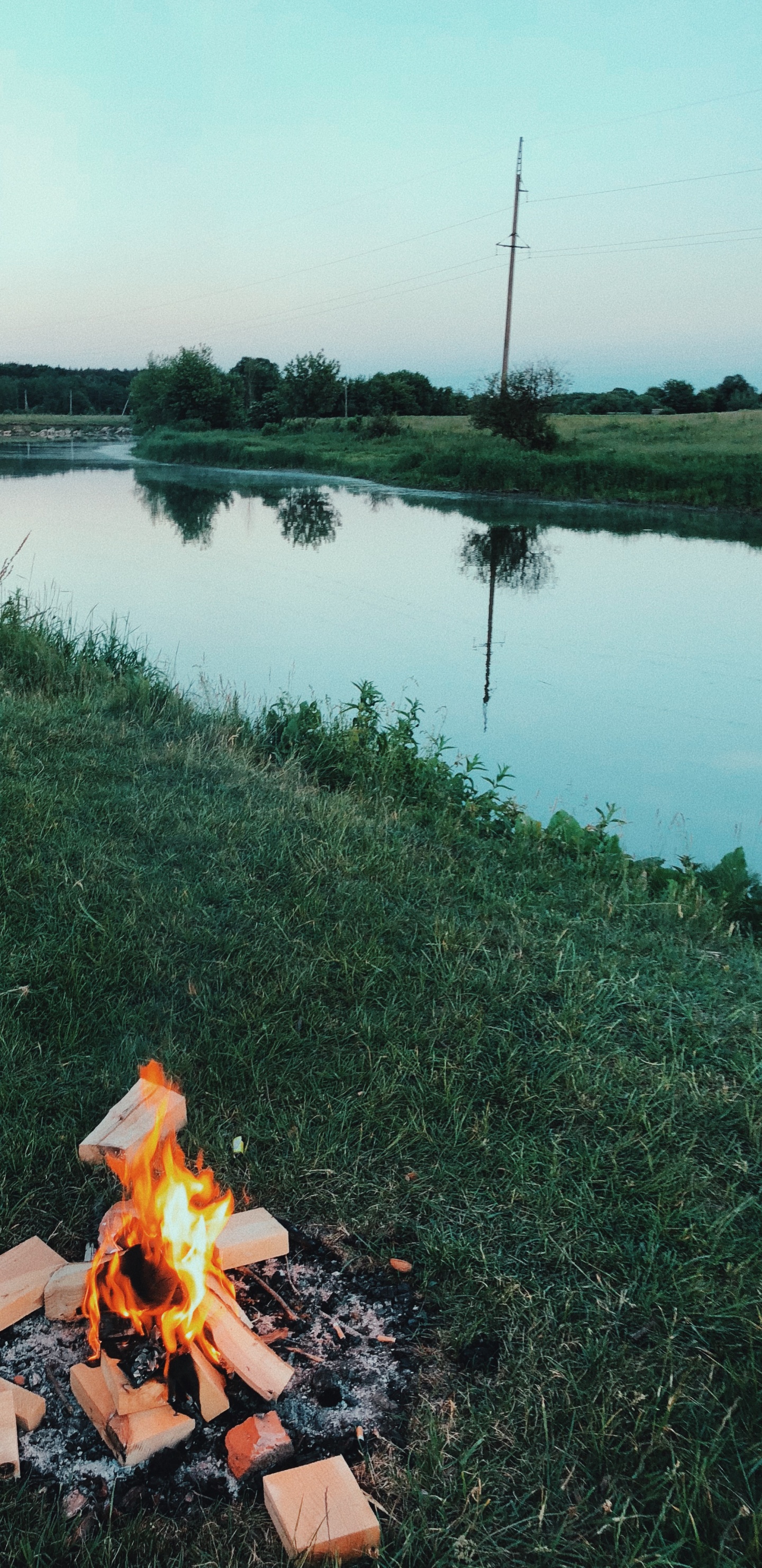 Réflexion, Les Ressources en Eau, Eau, Marécage, Nature. Wallpaper in 1440x2960 Resolution