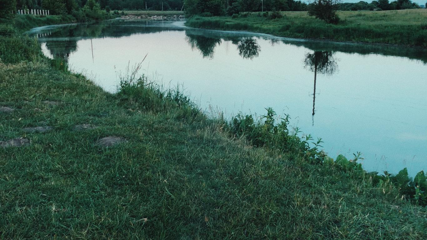 Reflexion, Wasserressourcen, Wasser, Feuchtgebiet, Natur. Wallpaper in 1366x768 Resolution