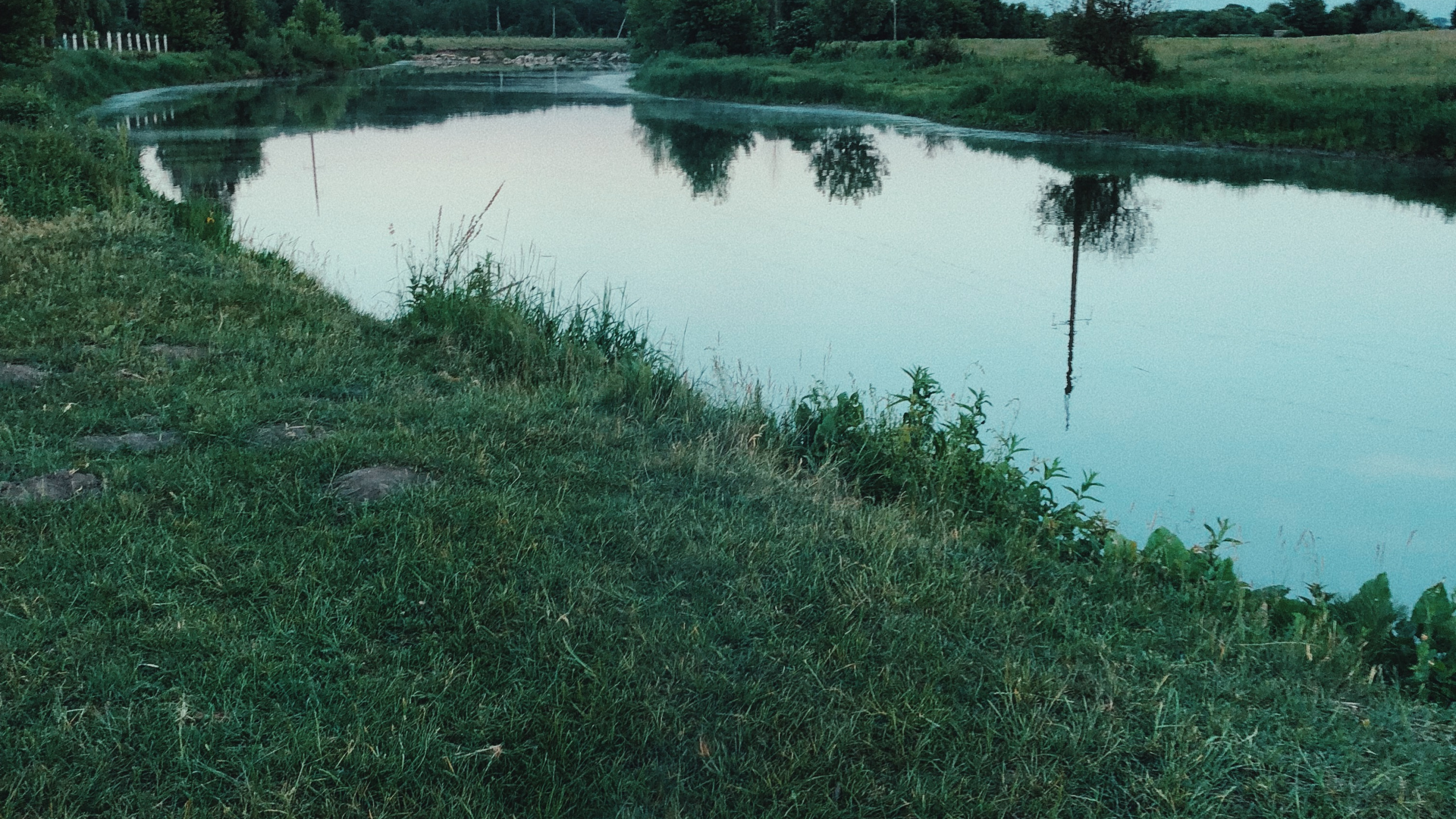 Reflexion, Wasserressourcen, Wasser, Feuchtgebiet, Natur. Wallpaper in 2560x1440 Resolution